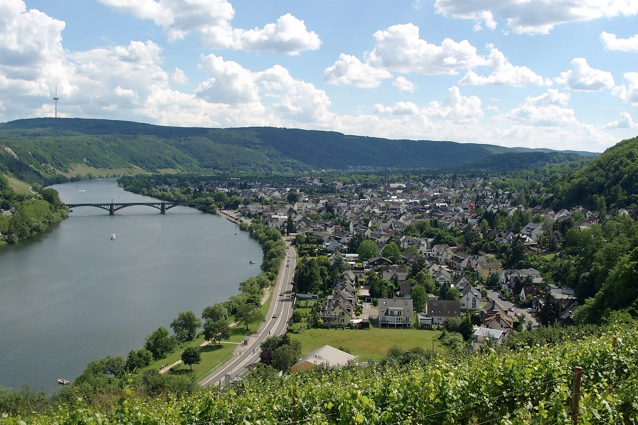 Photo showing: View of Koblenz-Güls and the Moselle