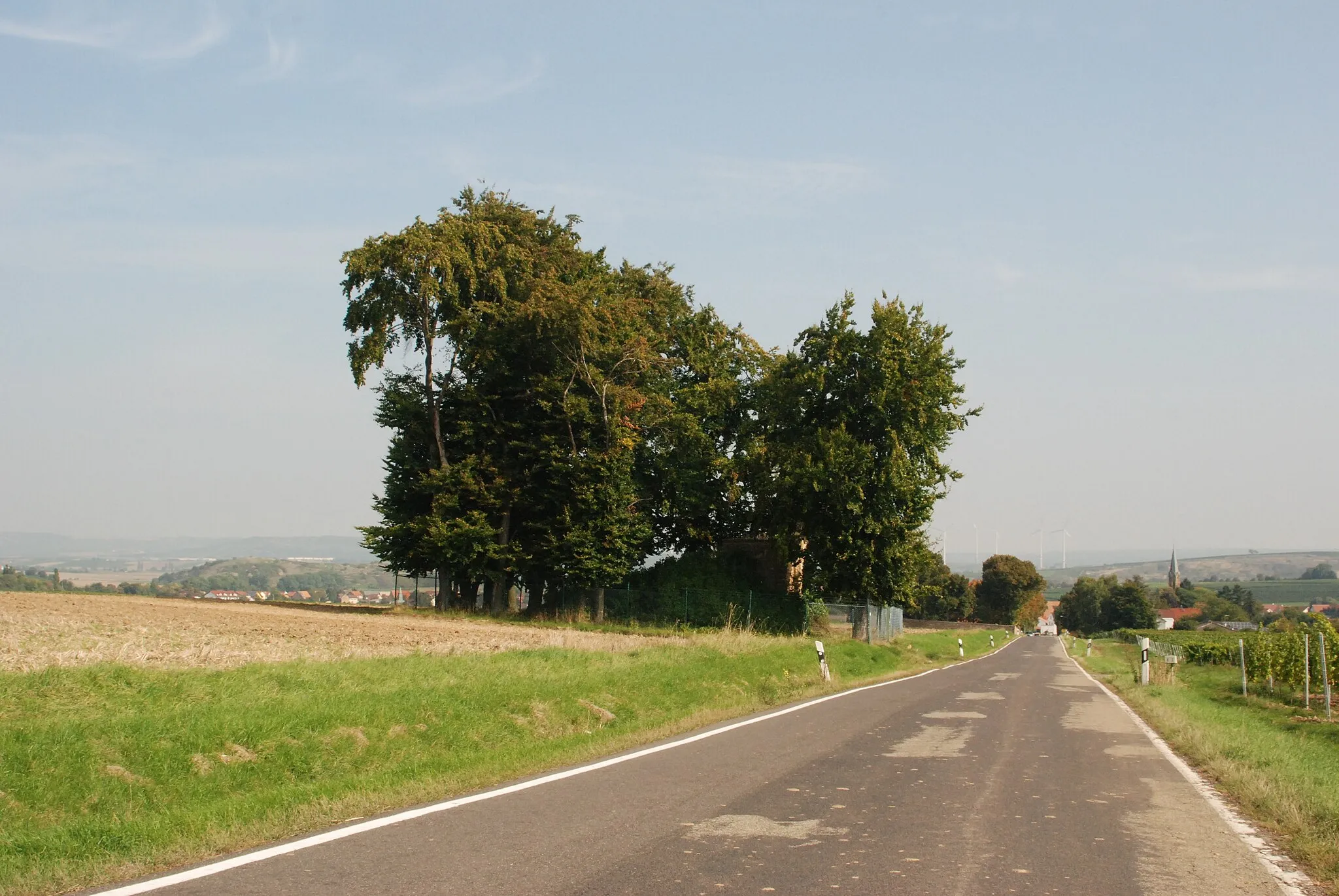 Photo showing: Ortsansicht von Stein-Bockenheim, Mörsfelder Straße, links Wasserbehälter (Denkmalschutz) dahinter Friedhof.