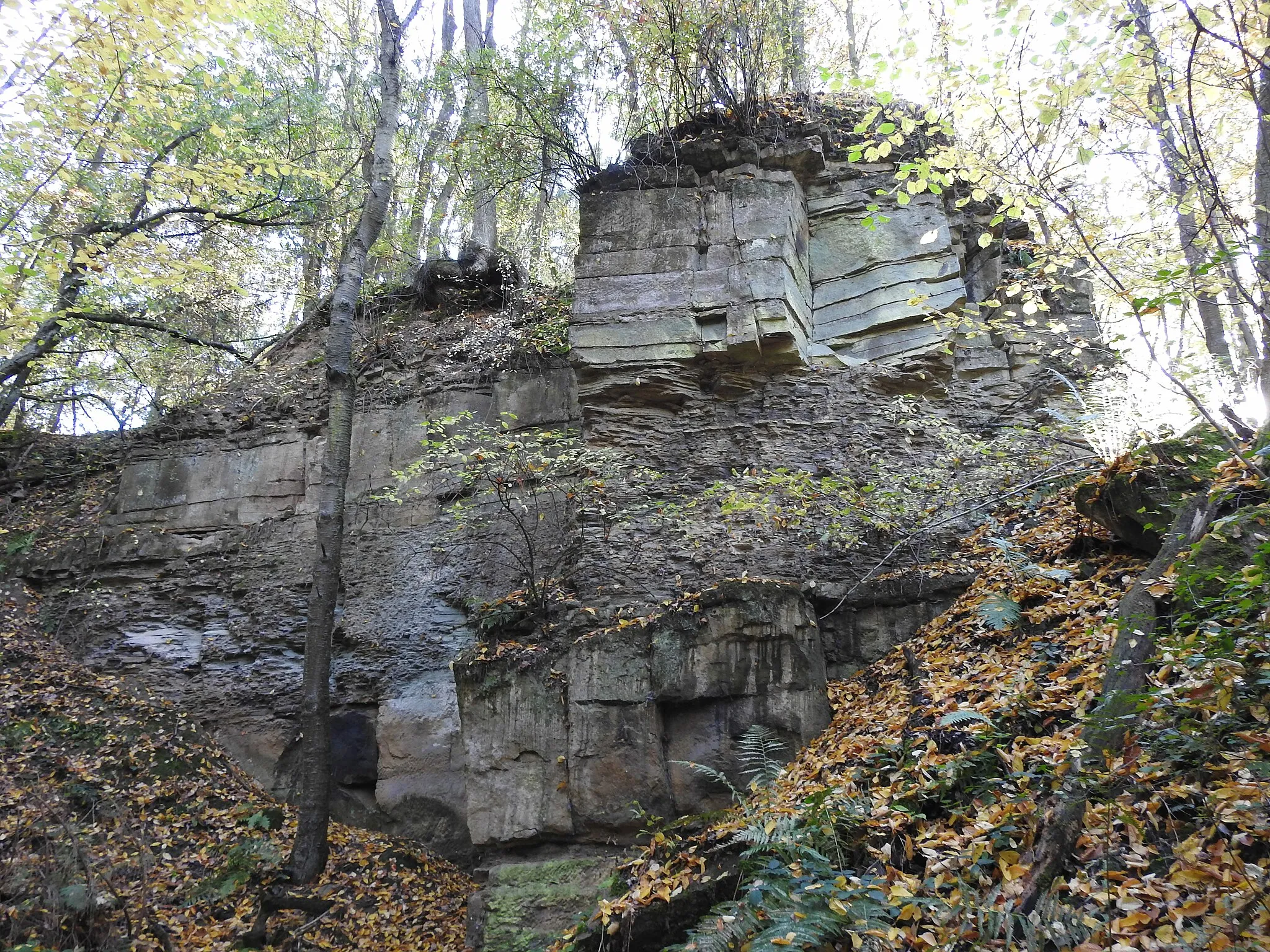 Photo showing: In the region of Stein-Bockenheim, there has been evidence of quarries for quarrying sandstone since the 14th century. The Dunzelloch quarry is one such quarry. Here you can clearly see how ashlars were cut out of the rock.