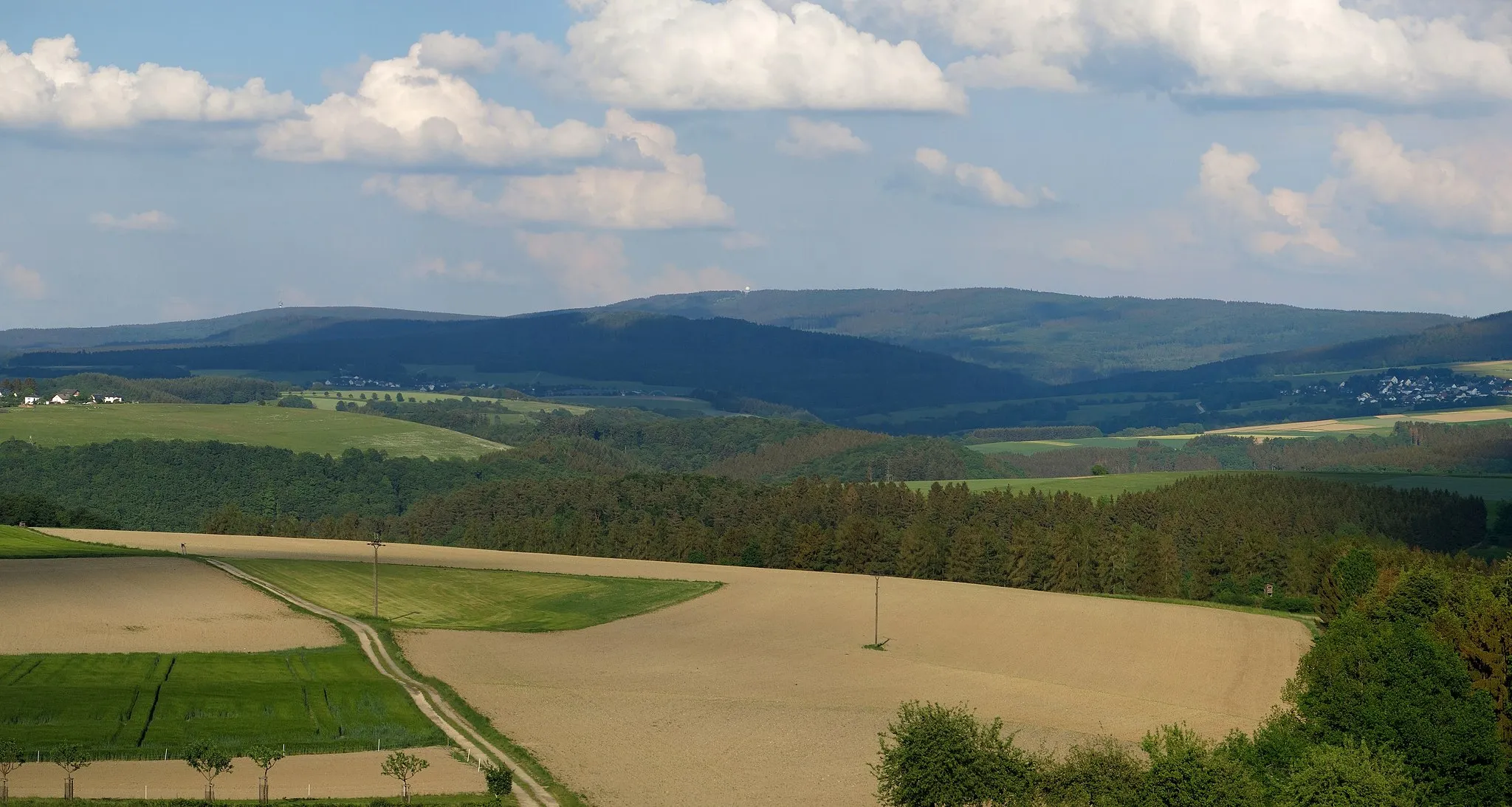 Photo showing: The Erbeskopf in the Hunsrück seen from West near Beuren