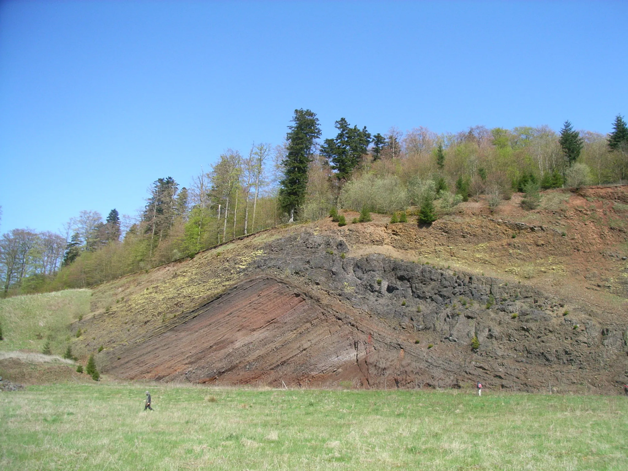 Photo showing: Rockeskyller Kopf, Germany. Section of volcanic cinder cone.