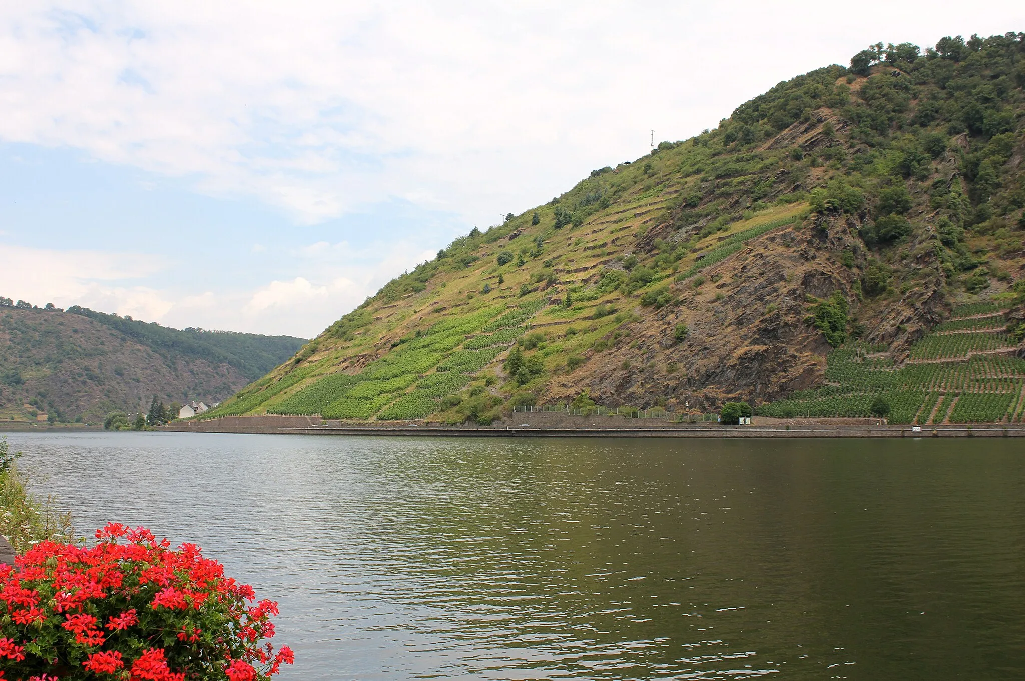 Photo showing: River Mosel, Löf, Rhineland-Palatinate, Germany