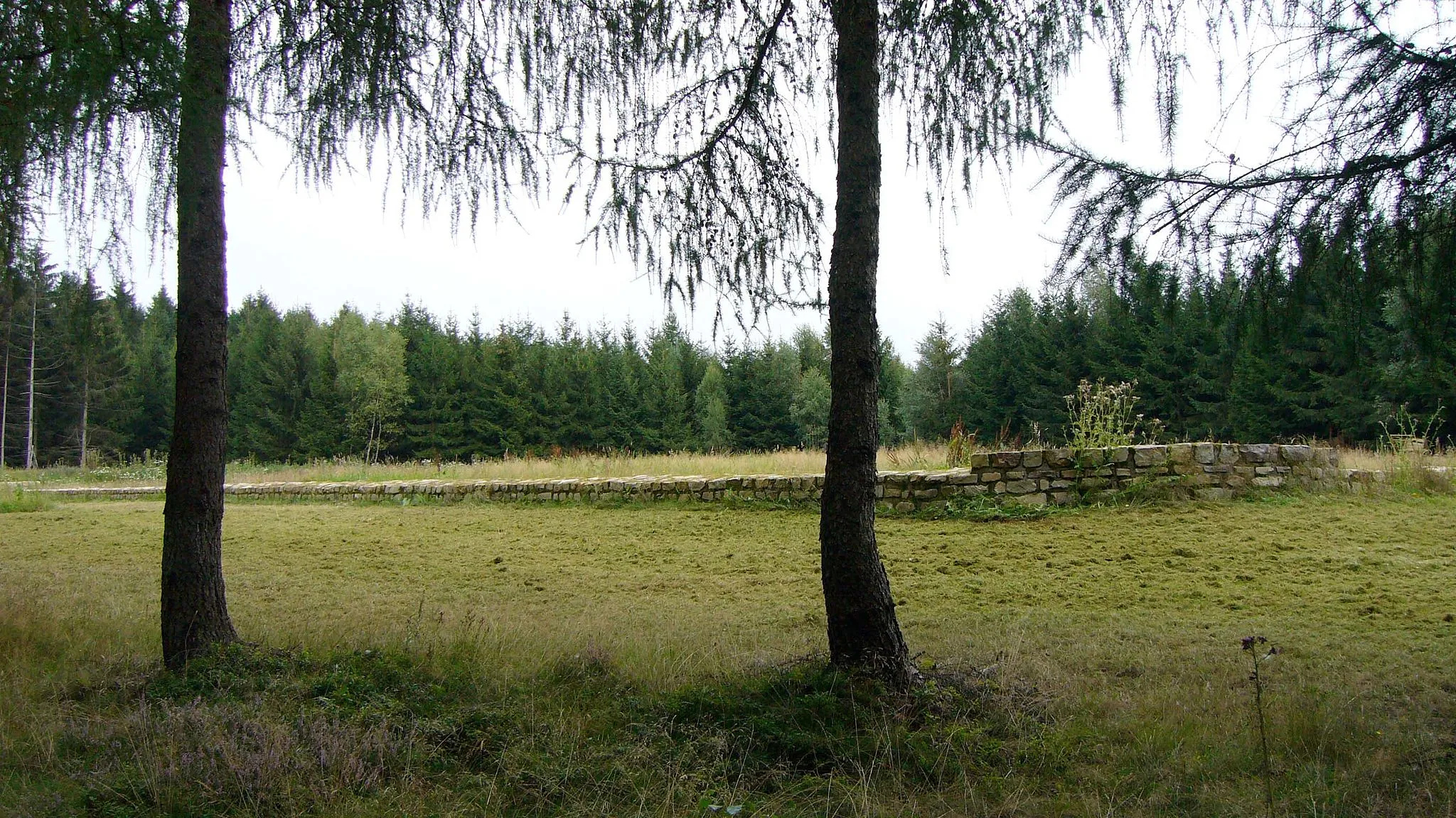 Photo showing: Kleinkastell Hillscheid