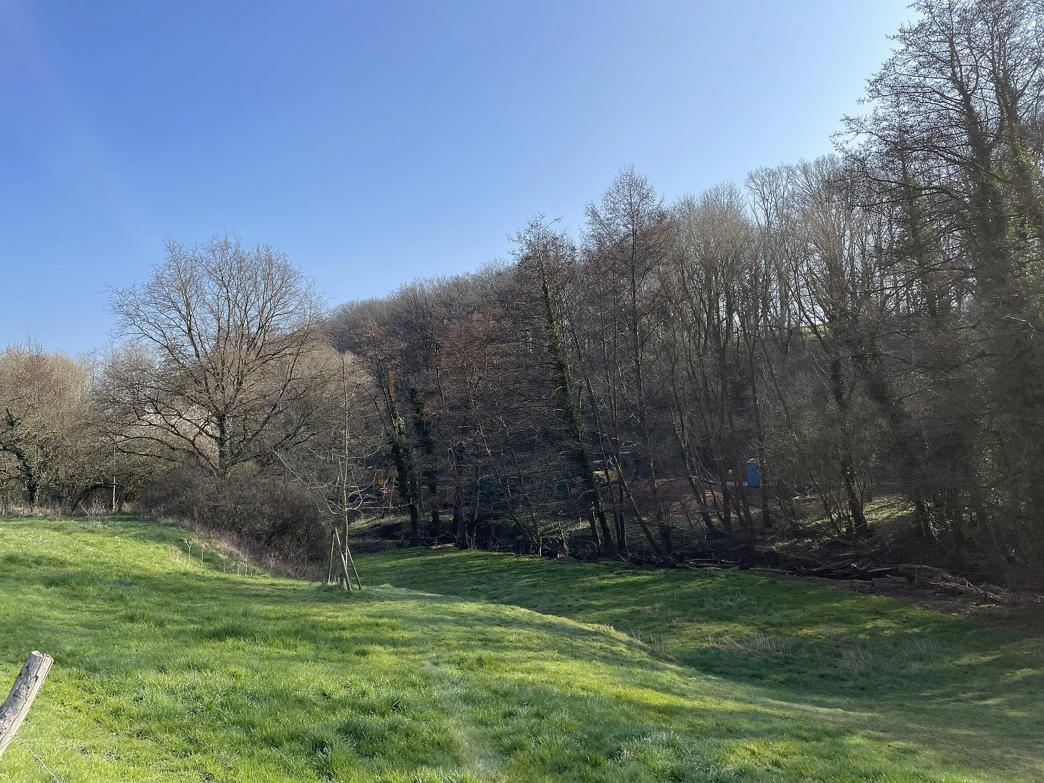 Photo showing: Das Naturschutzgebiet Rotbach- und Bruchbachtal liegt auf dem Gebiet der Stadt Mechernich im Kreis Euskirchen in Nordrhein-Westfalen.