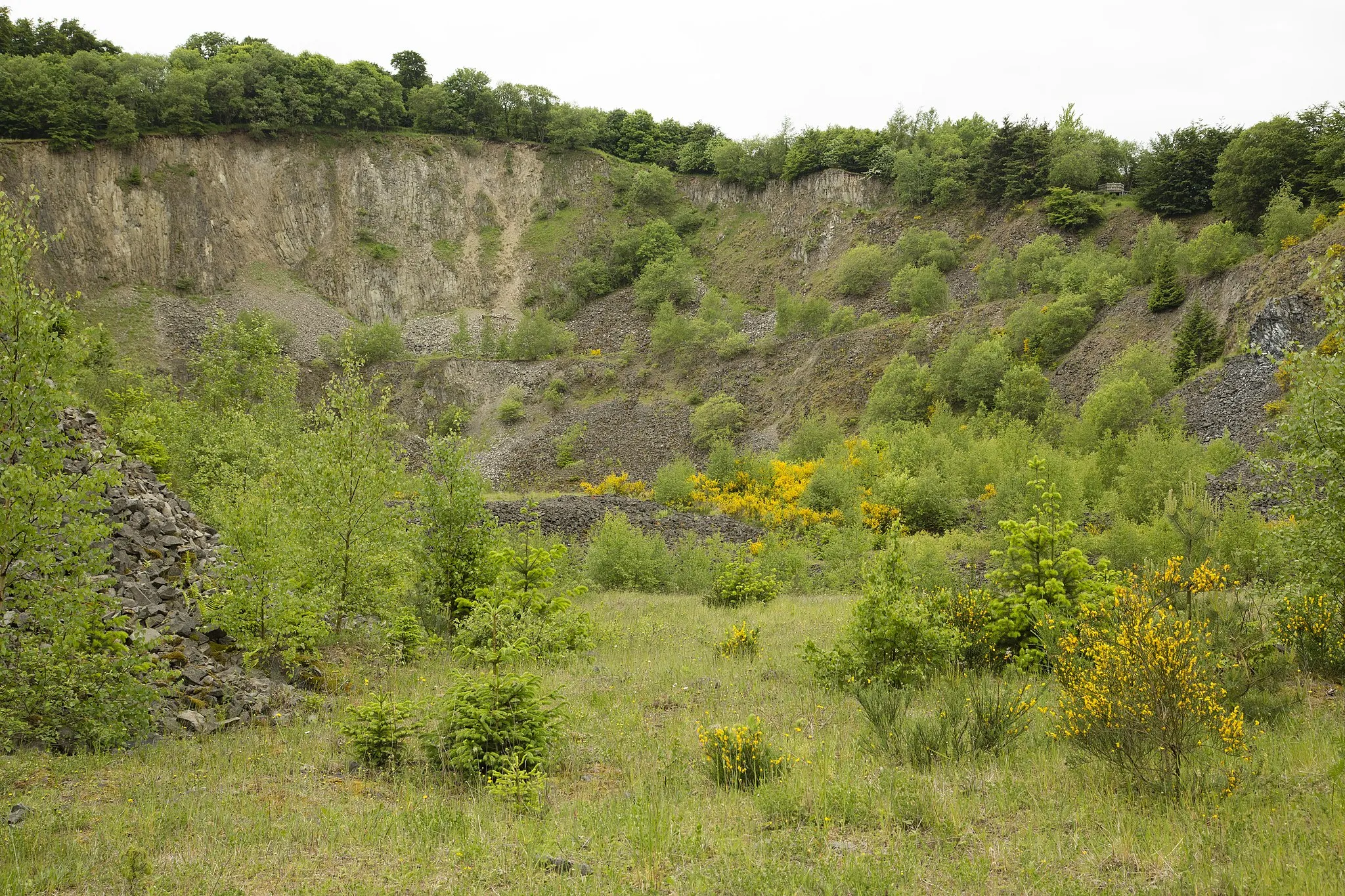 Photo showing: Frühlingsbild im Naturschutzgebiet „Hochbermel“, Rheinland-Pfalz