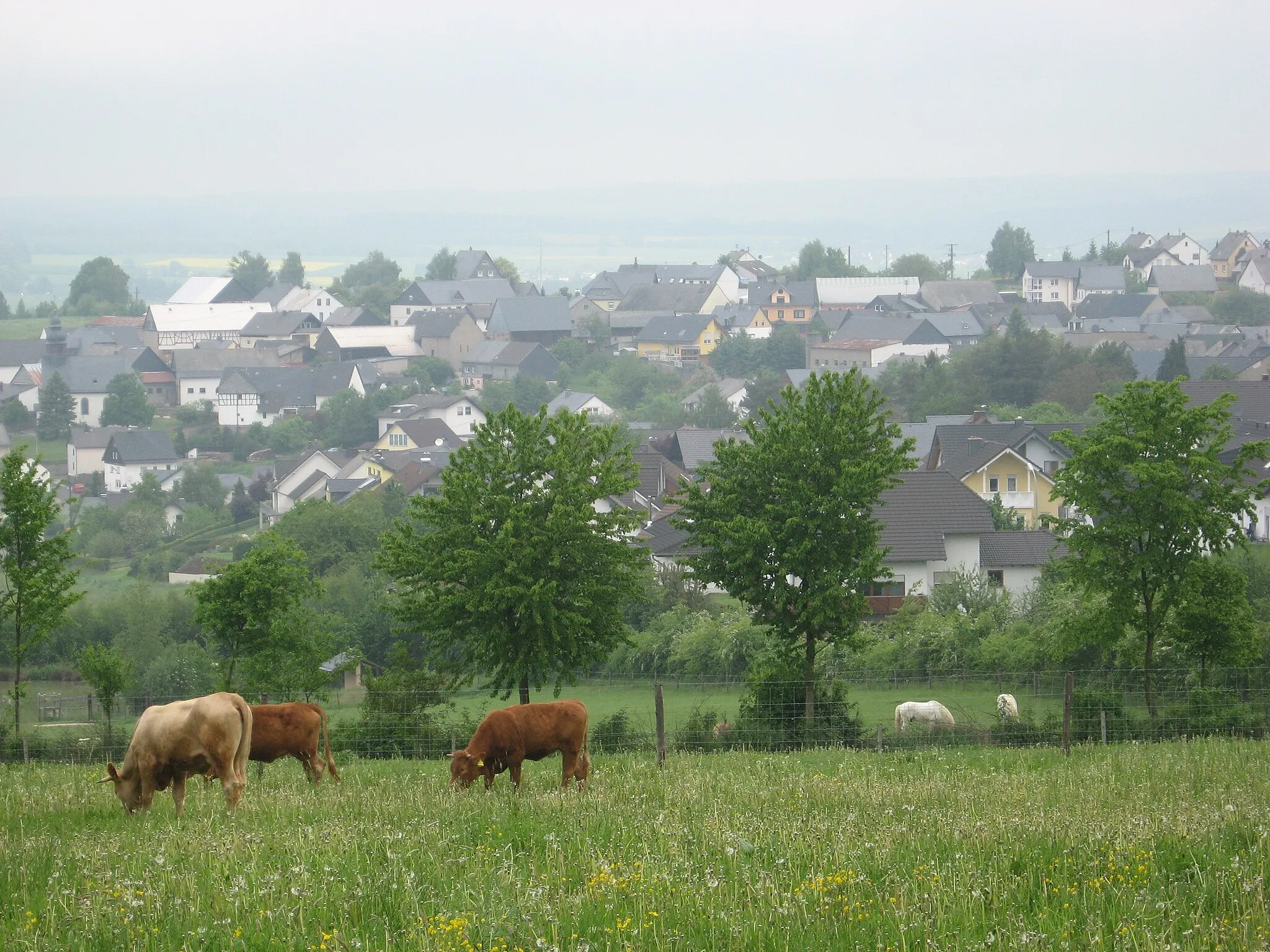 Photo showing: Village Holzbach in the Hunsrück landscape, Germany.
