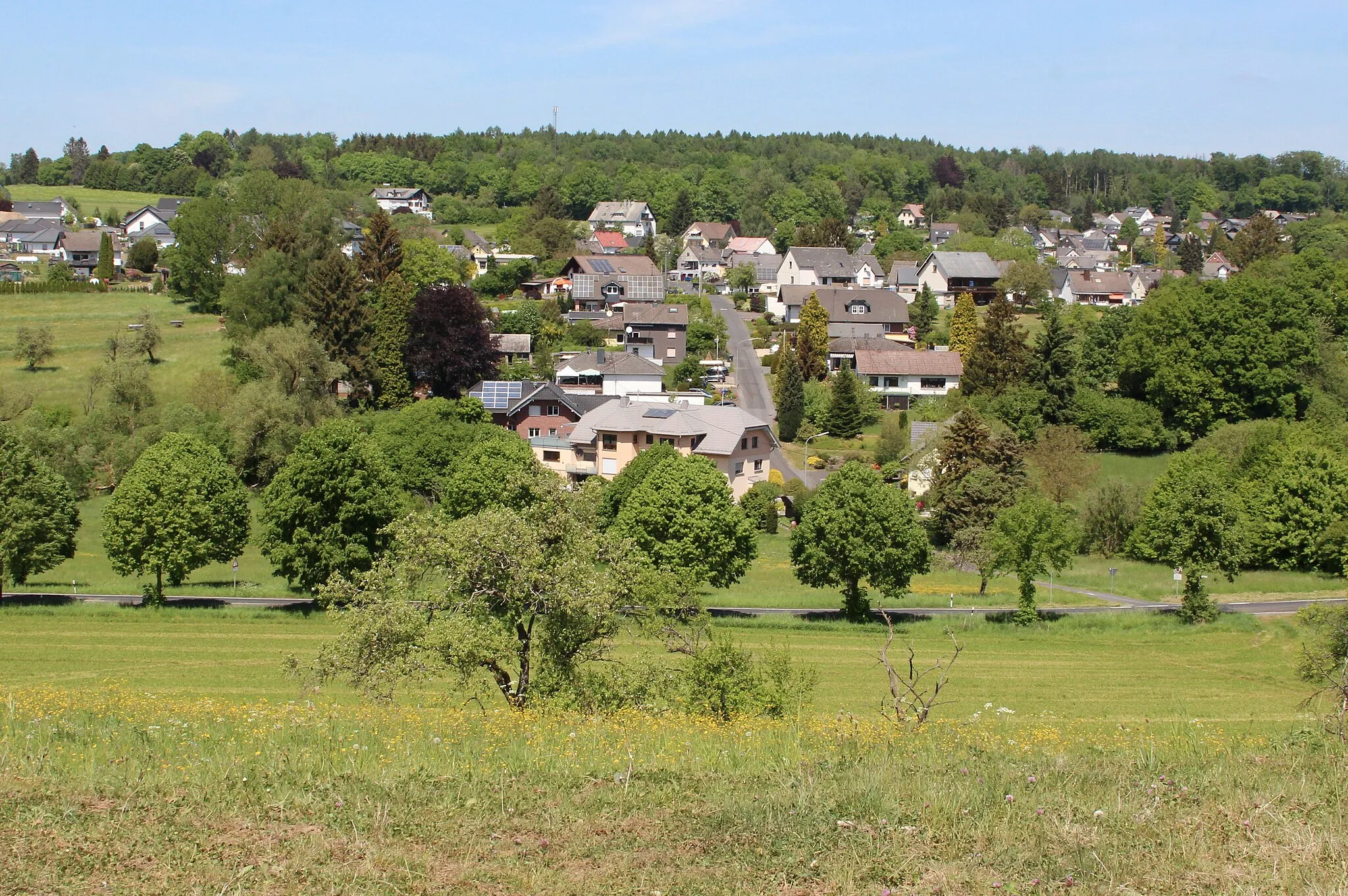 Photo showing: Freilingen, Westerwald, Rheinland-Pfalz