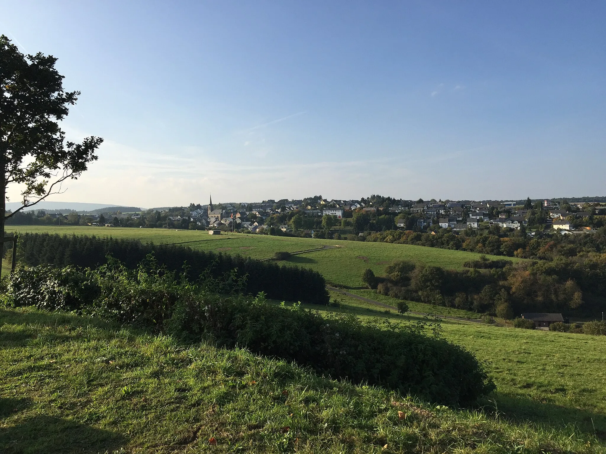 Photo showing: A view about Bundenbach.