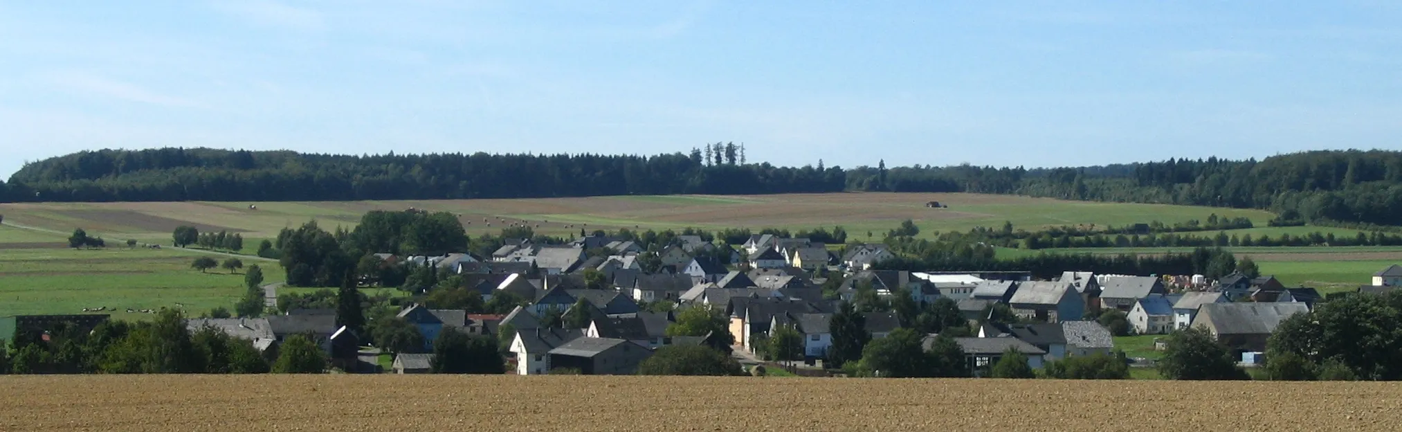 Photo showing: Reich/Hunsrück aus süd-östlicher Richtung