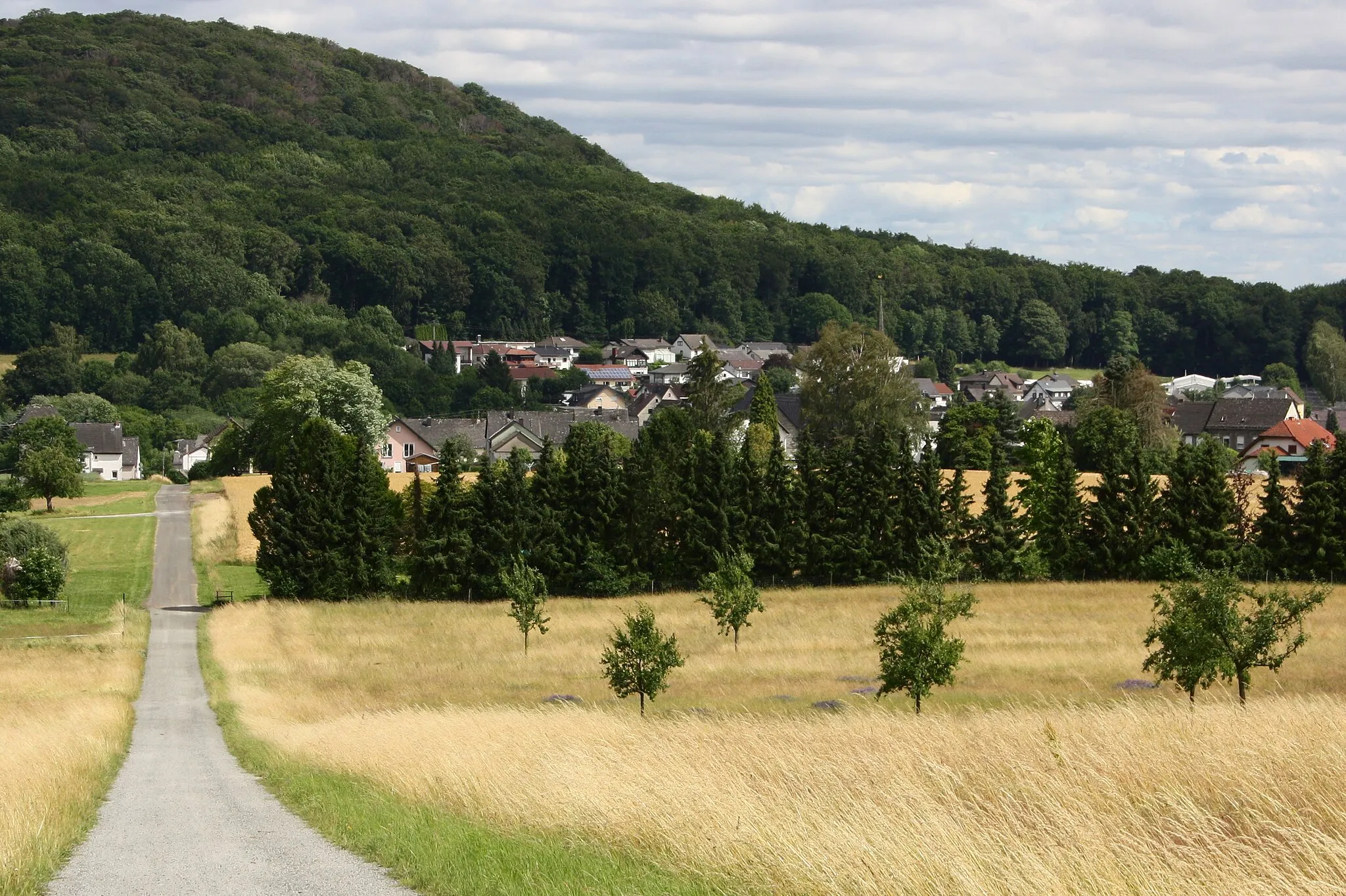 Photo showing: Leuterod, Westerwald, Rheinland-Pfalz, Deutschland