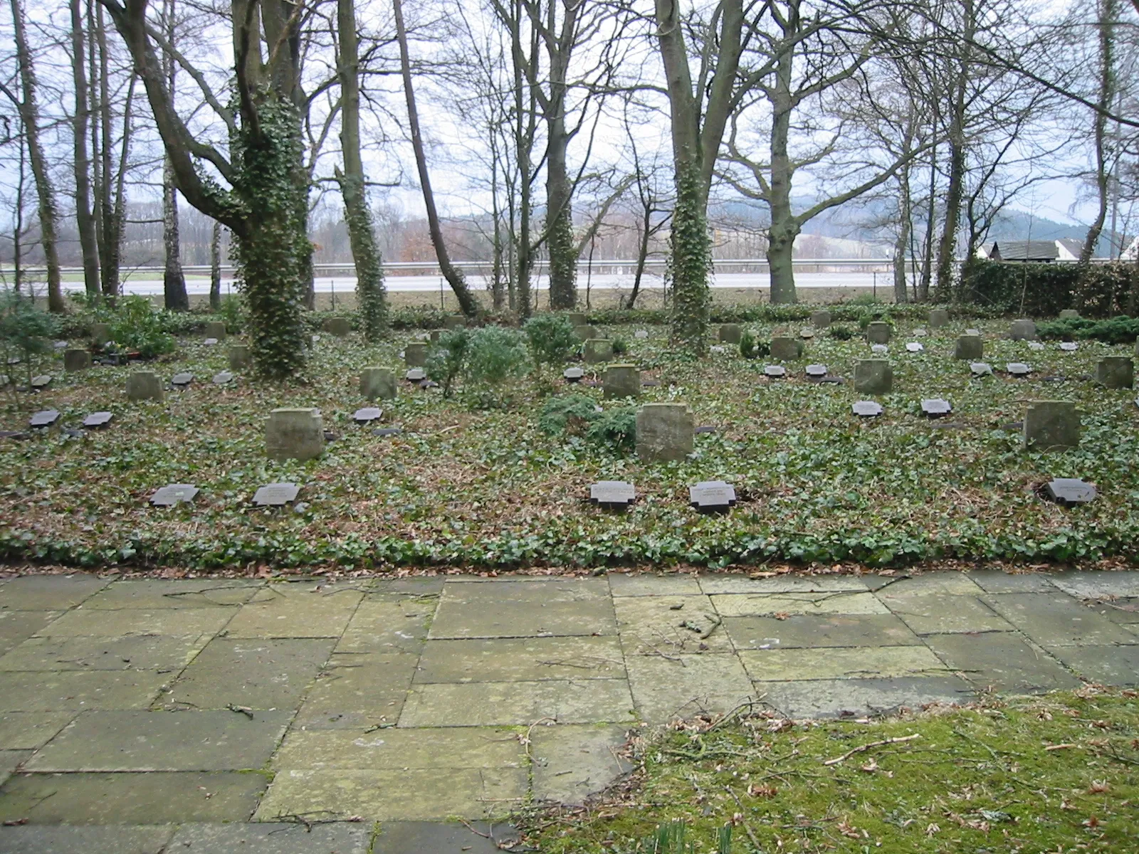 Photo showing: View on part of second world war cemetery next to Pfaffenheck on the lower Hunsrueck mountains. Burried are nearly 100 soldiers of 66. SS-Gebirgs-Division who died on march 14.-17. 1945 in combat against US-soldiers of 357th Inf. Reg.