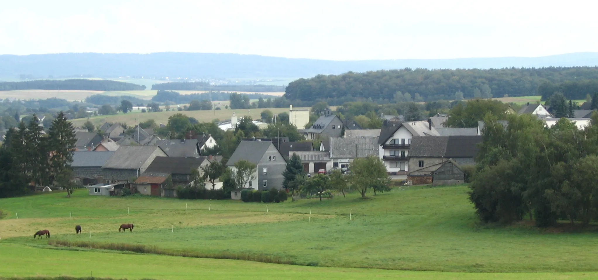 Photo showing: Heinzenbach im Hunsrück aus nördlicher Richtung