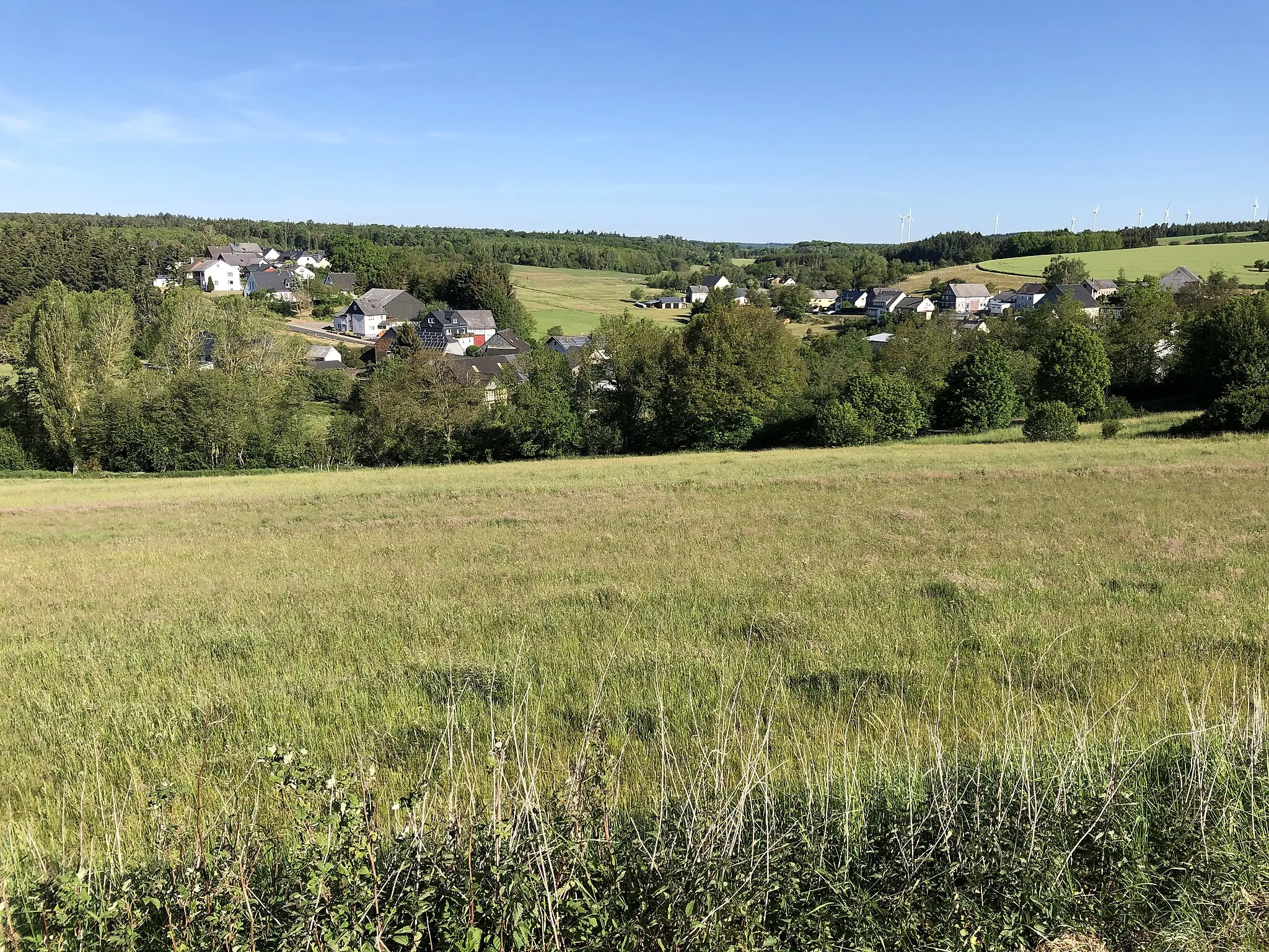 Photo showing: Dillendorf/Hunsrueck landscape