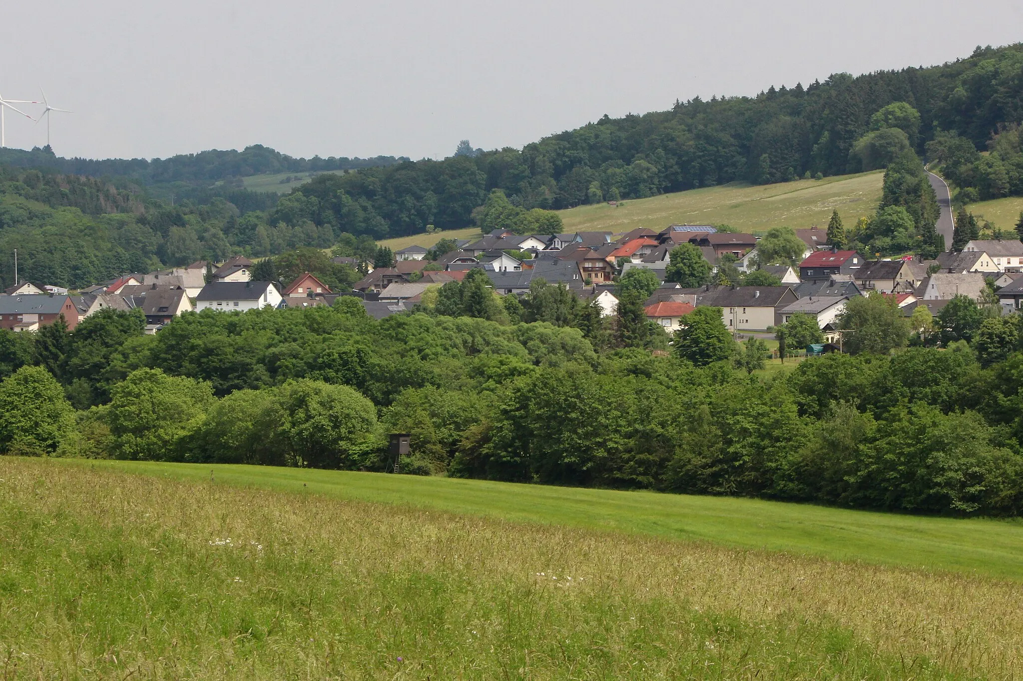 Photo showing: Hahn bei Marienberg, Westerwald, Rheinland-Pfalz