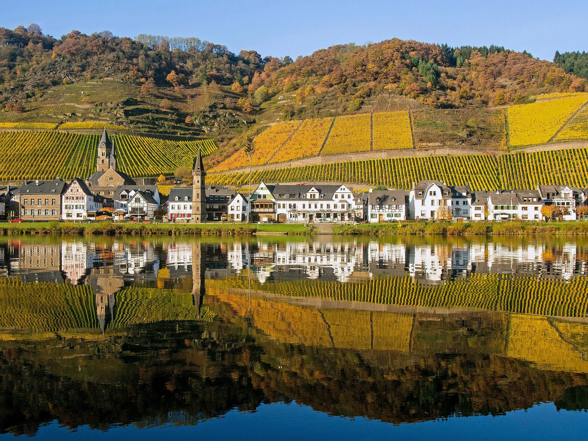 Photo showing: An einem strahlenden Herbsttag spiegeln sich Ort und Weinberge in der Mosel wider.