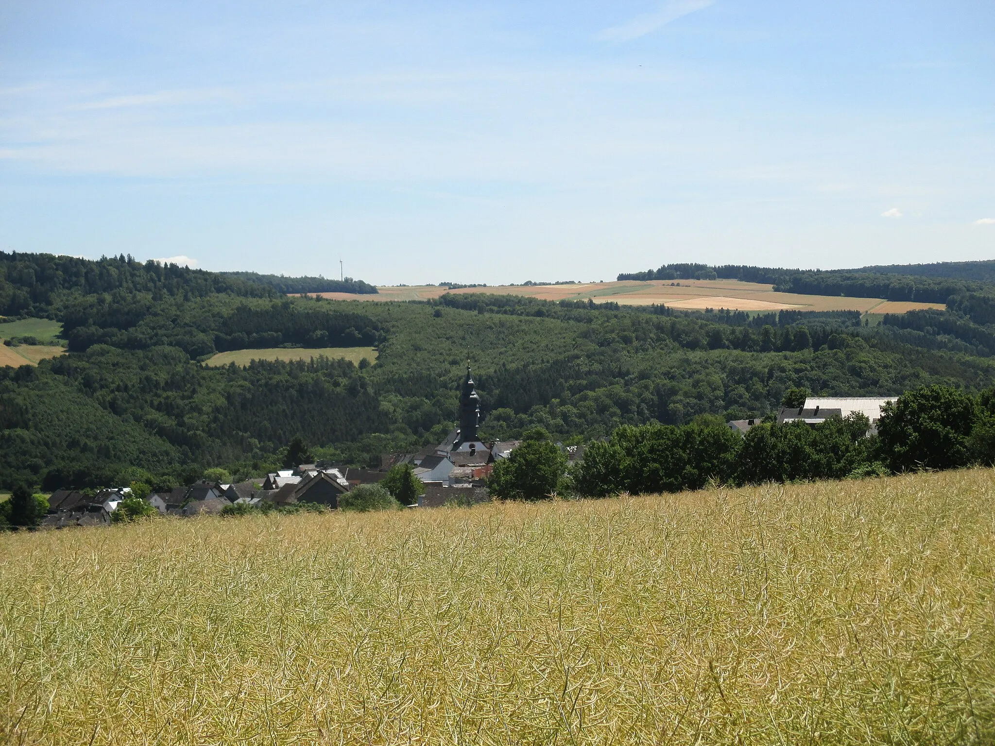 Photo showing: Teilansicht Obertiefenbach im Taunus von Westen
