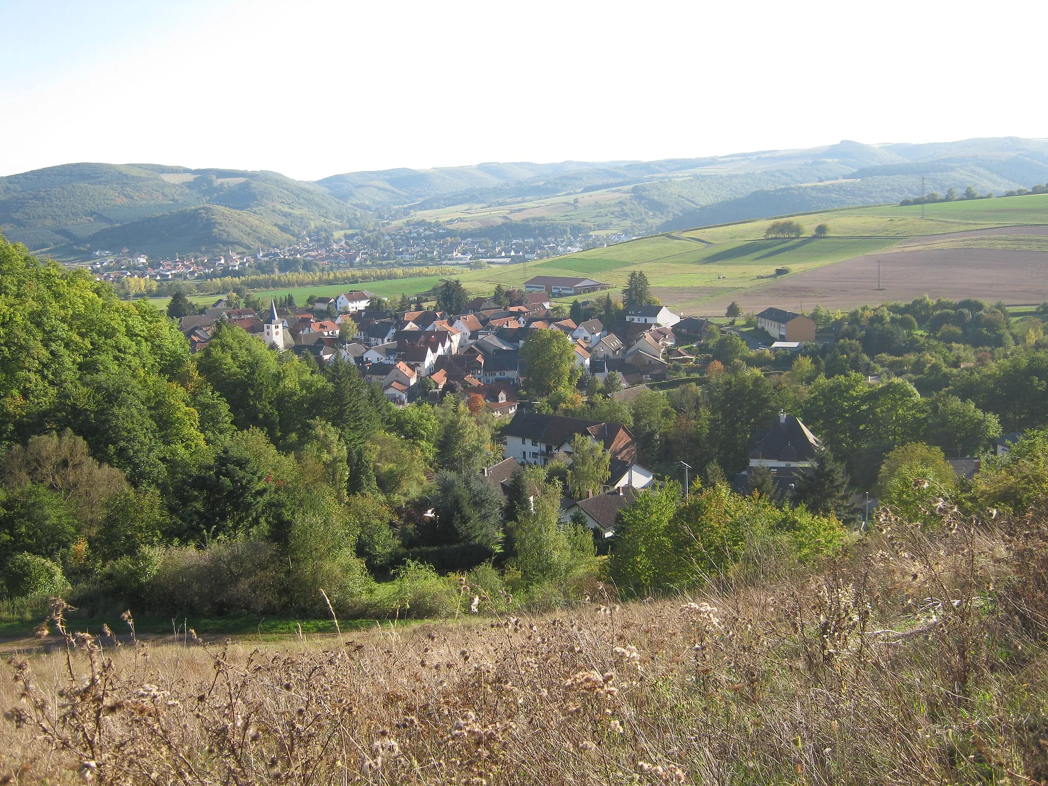 Photo showing: Village Weiler in the Nahe valley, Germany.