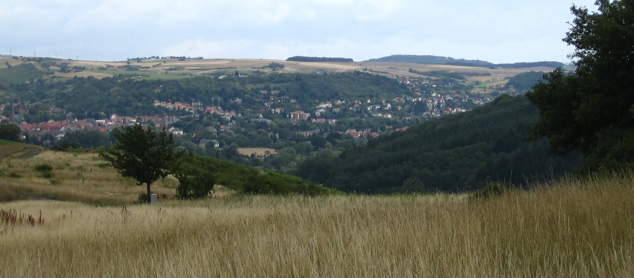 Photo showing: Bad Sobernheim aus südwestlicher Richtung