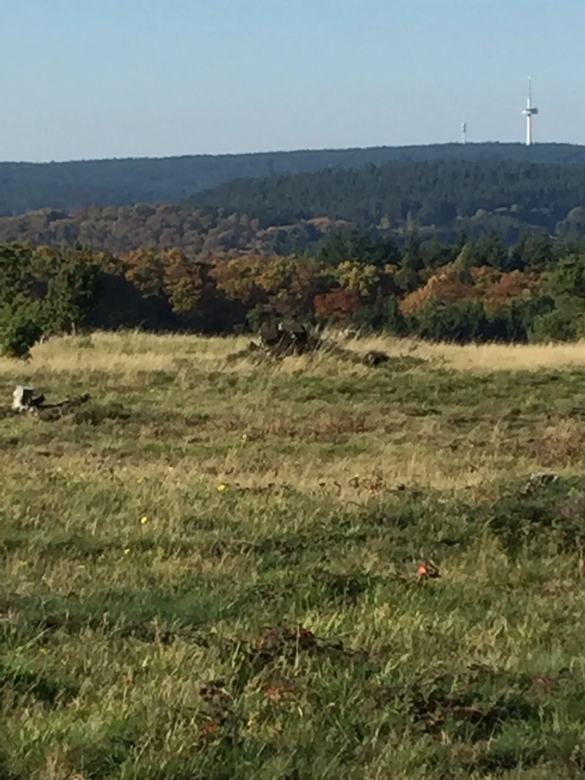 Photo showing: Naturschutzgebiet