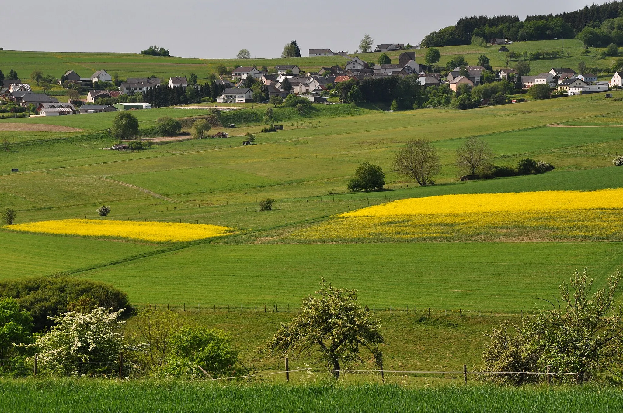 Photo showing: The village of Kolverath seen from Bereborn (Kelberg Municipality, District Vulkaneifel, Rhineland-Palatinate, Germany).