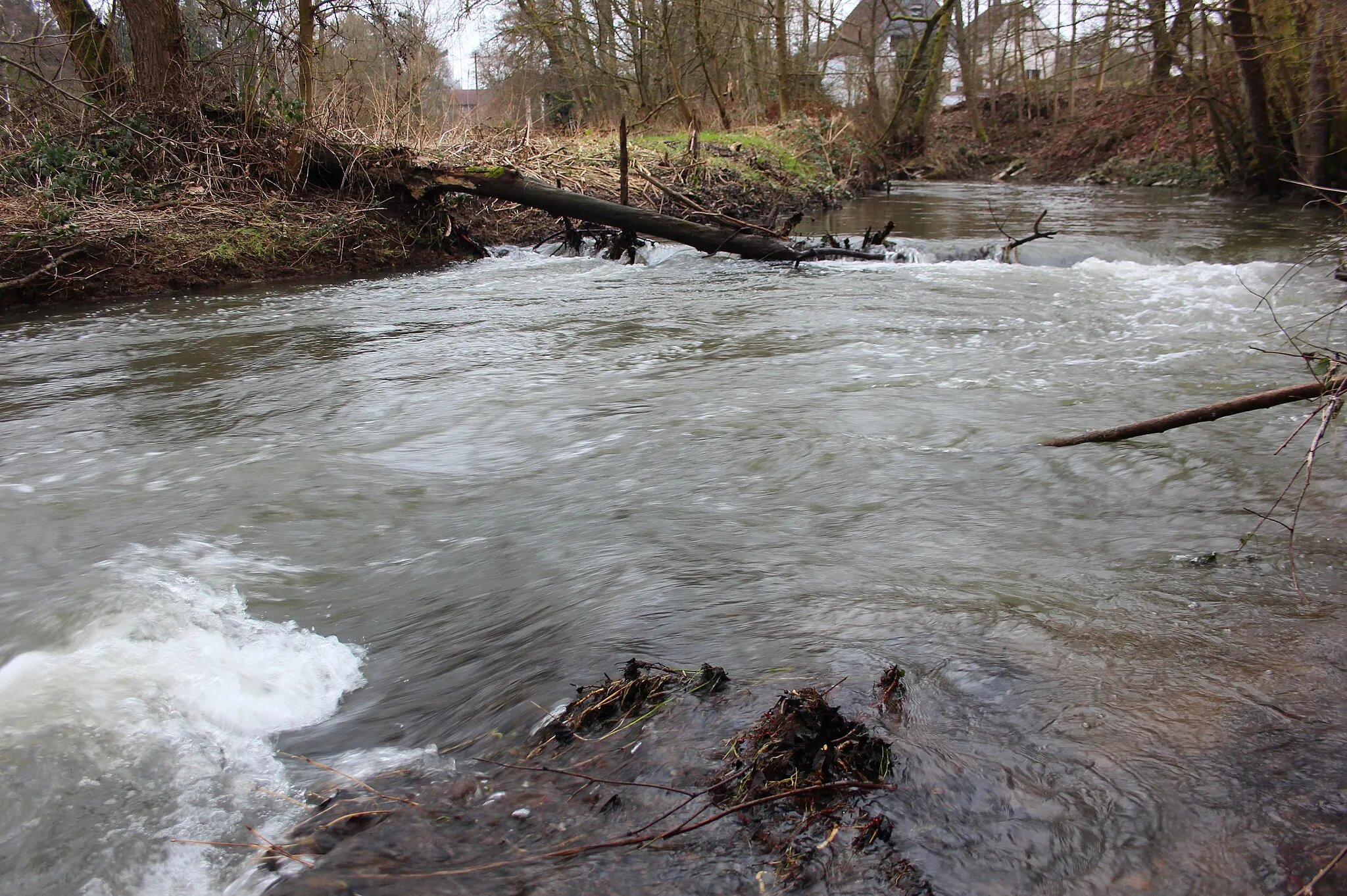 Photo showing: Der Holzbach in Döttesfeld nahe der Mündung in die Wied