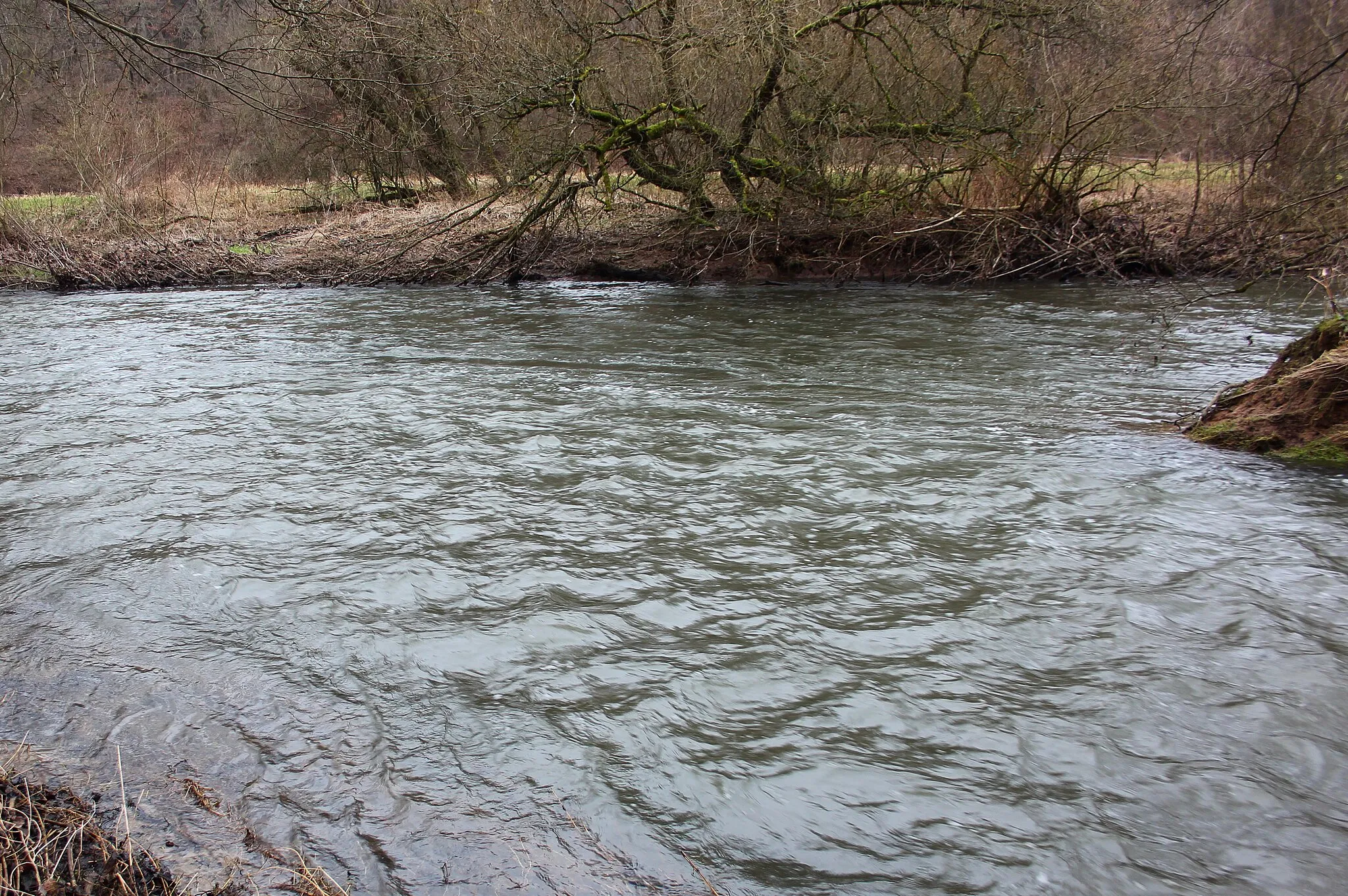 Photo showing: Zufluss des Holzbach (rechts unten) in die Wied bei Döttesfeld, Landkreis Neuwied, Rheinland-Pfalz