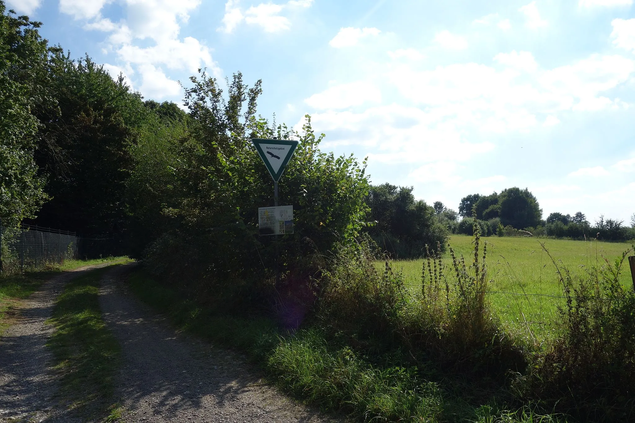 Photo showing: Nordöstlicher Rand vom Naturschutzgebiet Atta-Höhle