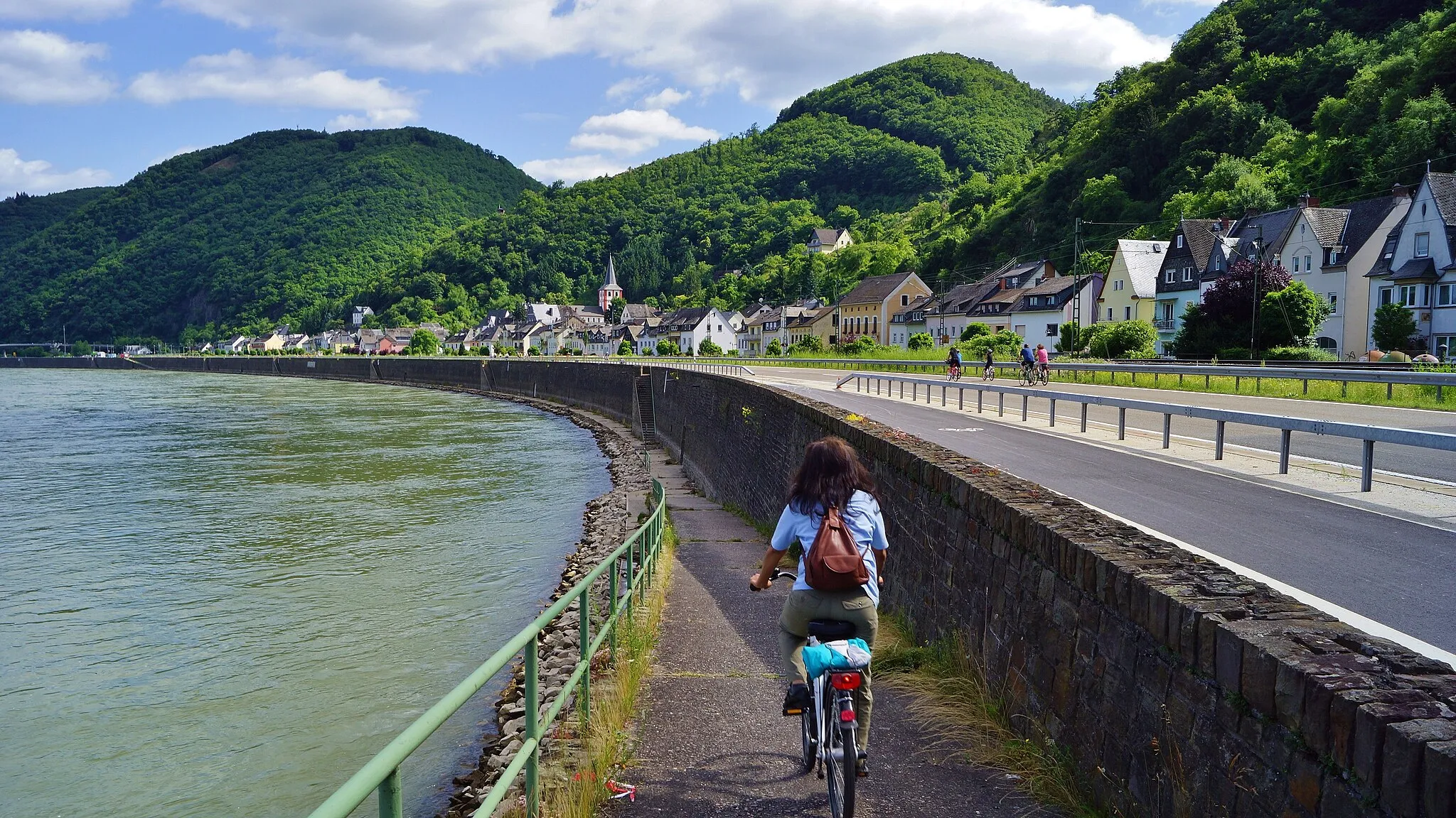 Photo showing: Linkes Rheinufer bei Hirzenach, flussaufwärts (>SO) schauend.