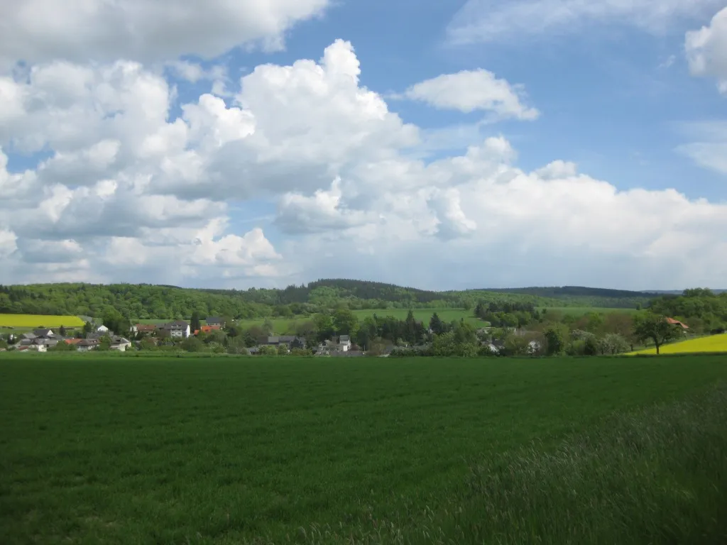 Photo showing: Mappershainer Kopf im Westlichen Hintertaunus