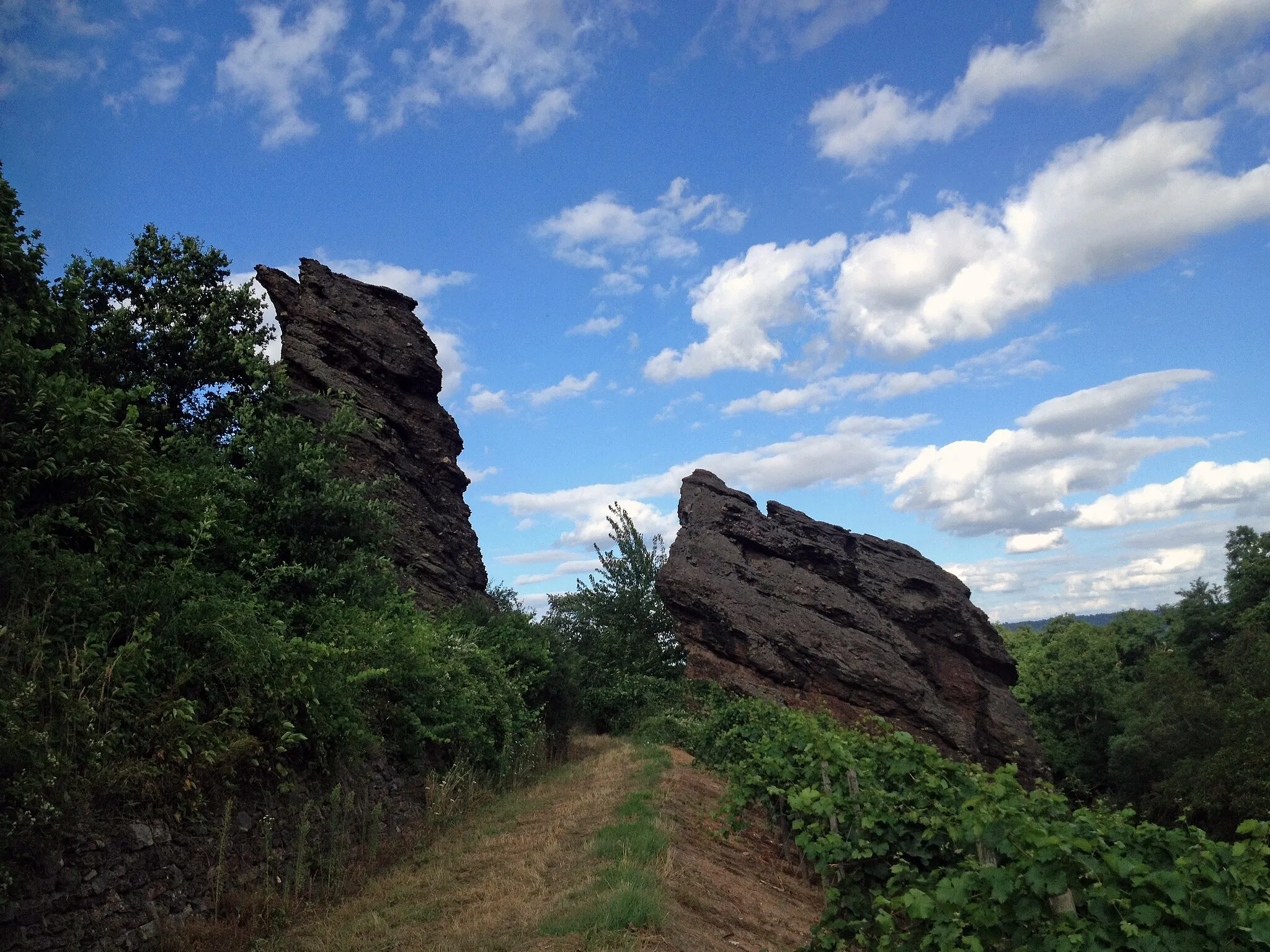 Photo showing: Trollfelsen bei Münster-Sarmsheim im Landkreis Bad Kreuznach in Rheinland-Pfalz.