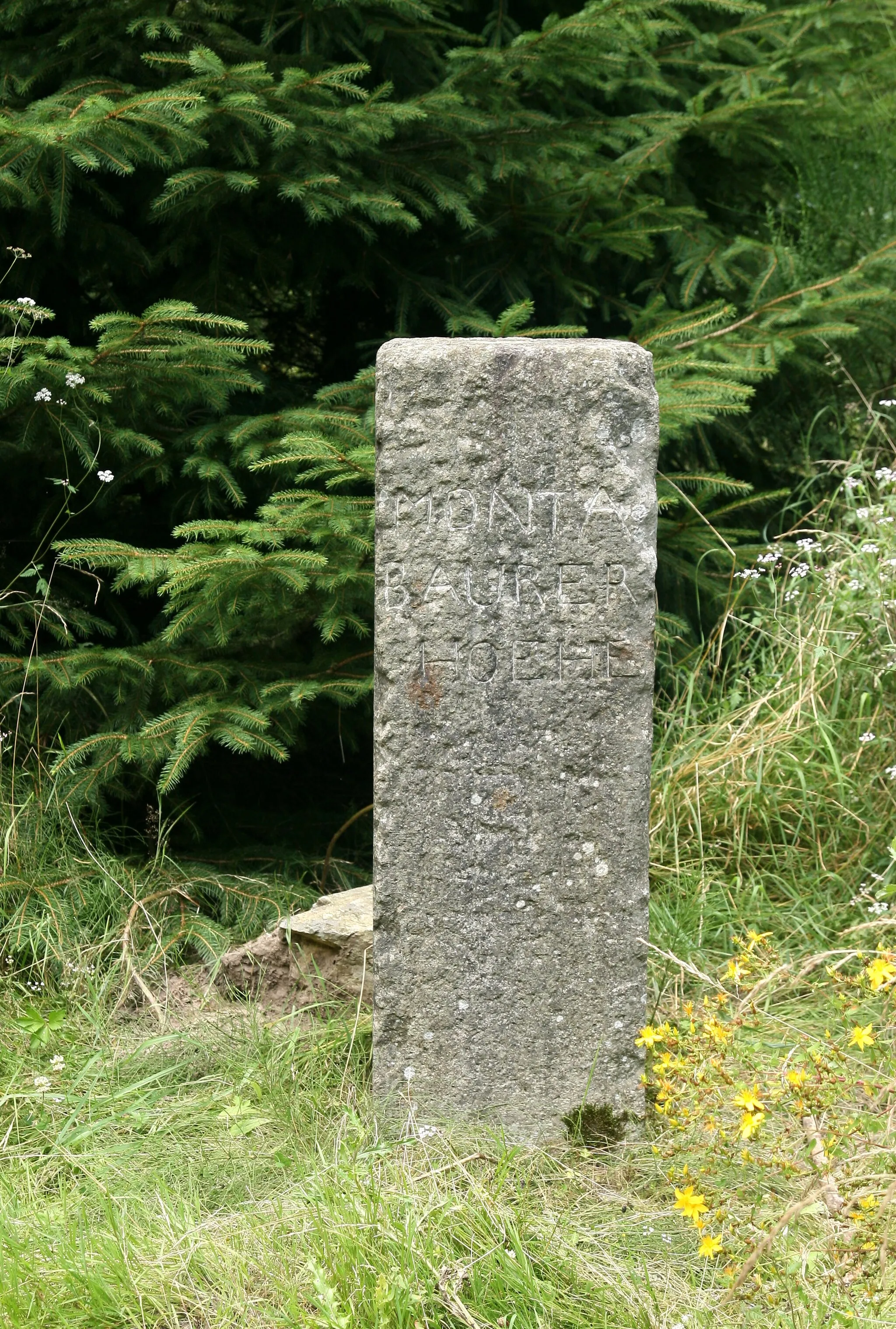 Photo showing: Trigonometrical Point Montabaurer Höhe at Alarmstange mountain in Montabaurer Höhe mountain range in Westerwald region, Germany. Errected in 1853 and later used for cartographic work, e.g., in 1894 for Preußische Landesaufnahme. In 1969 moved by 5 metres for a new marker.