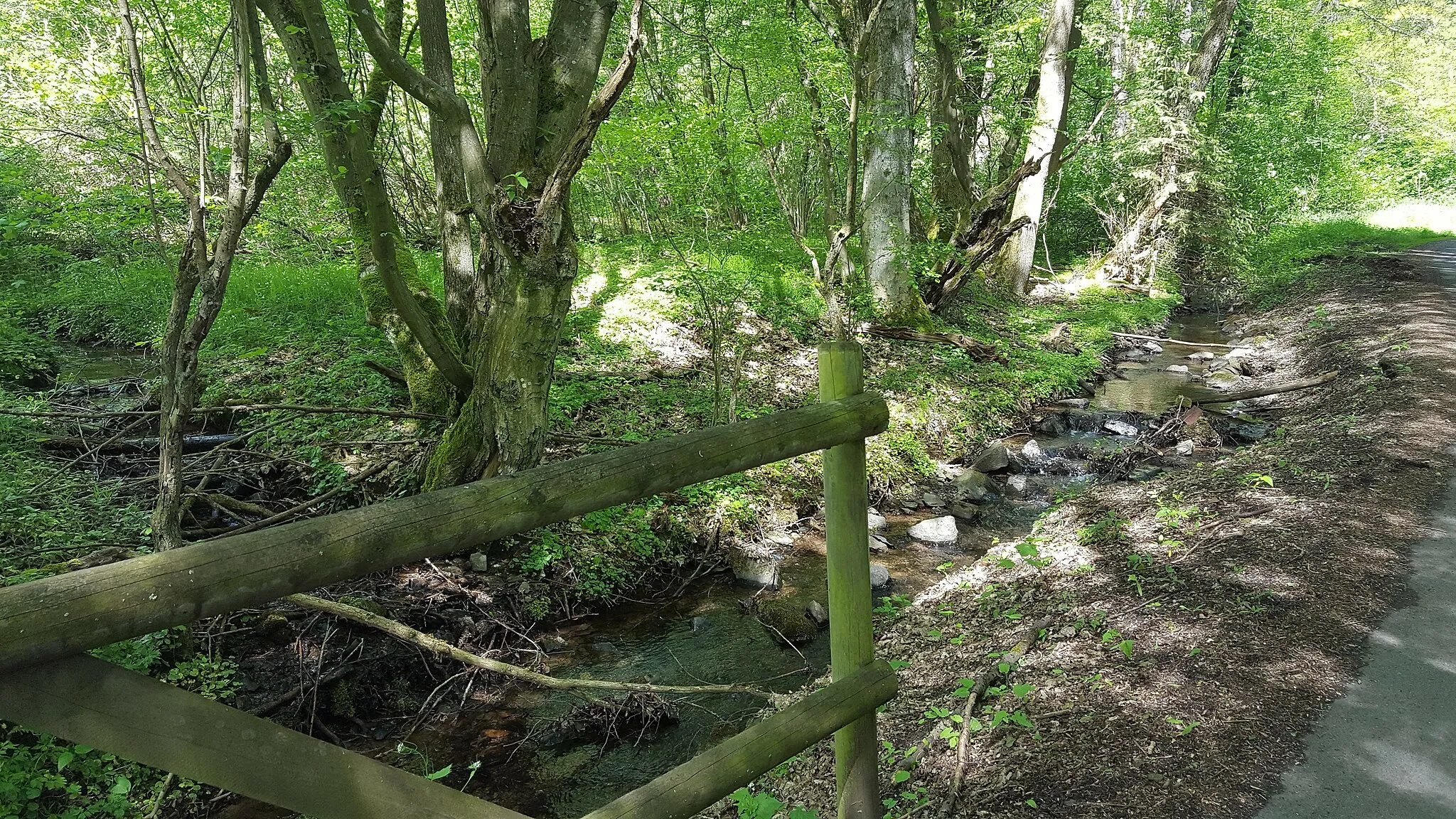 Photo showing: Bachseifen bei Würgendorf