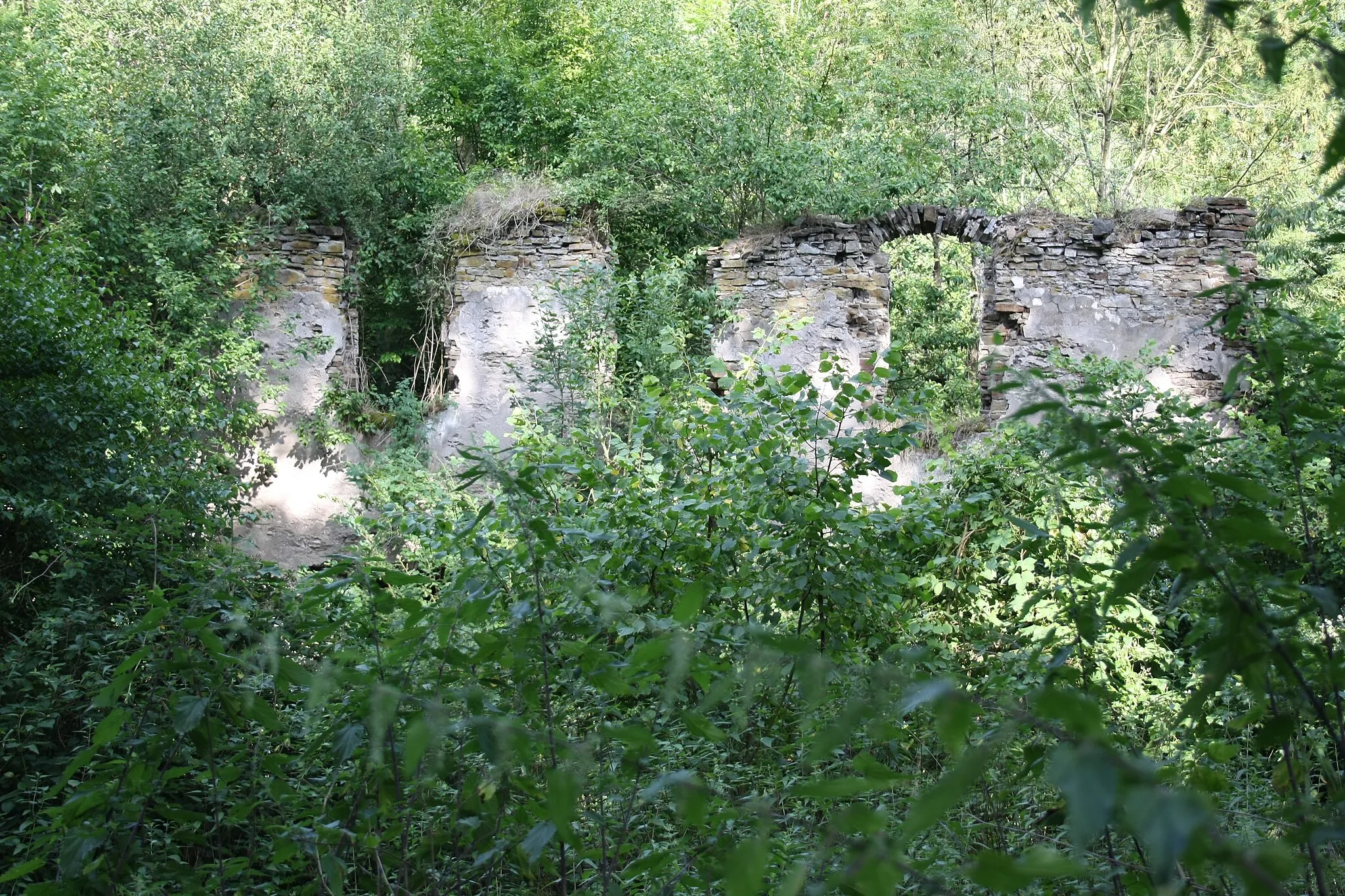 Photo showing: Ruins of the carmélite monastery of Bad Tönisstein, founded 1465