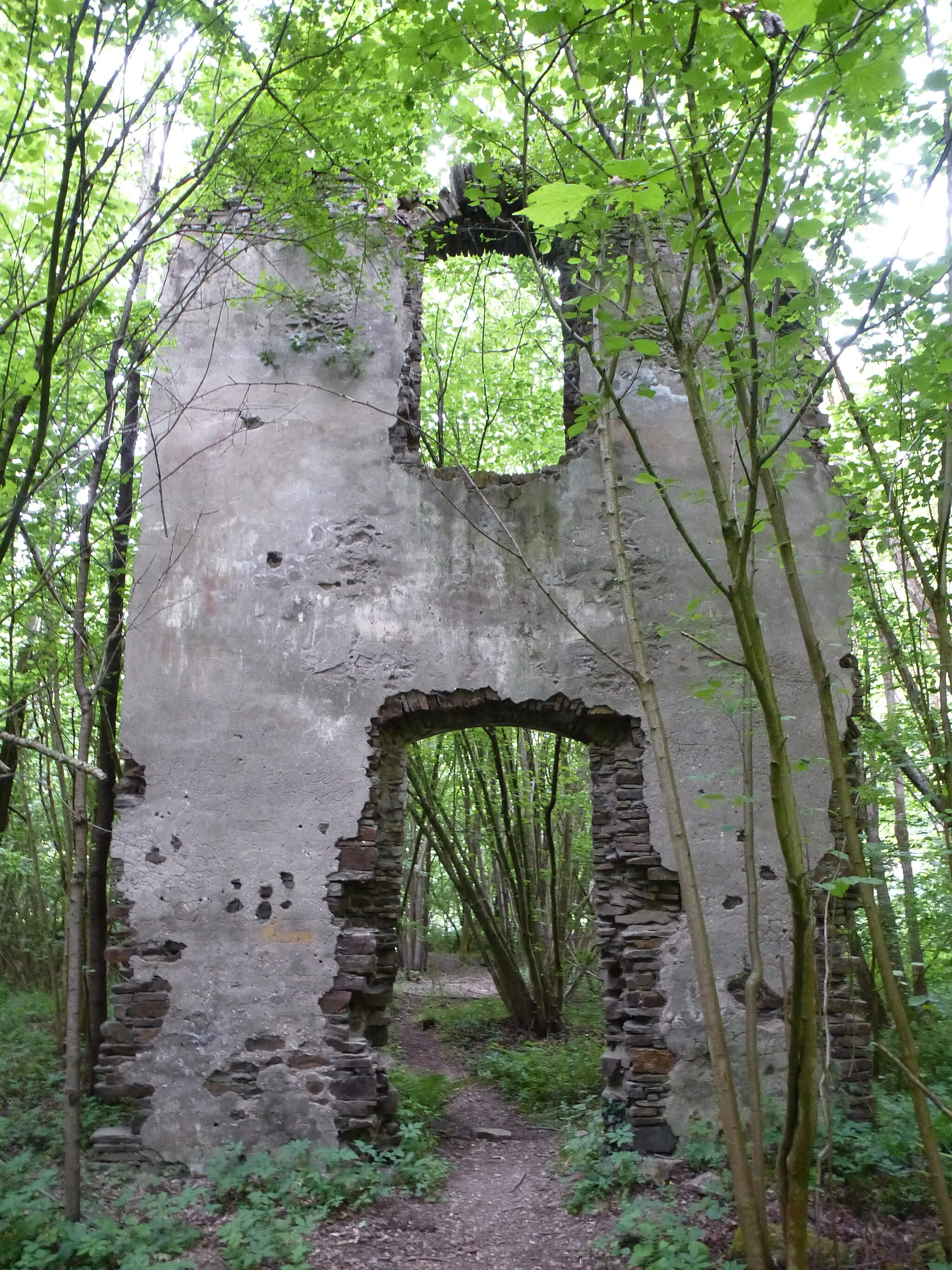 Photo showing: Ruins of the former Carmelites convent Toenesstein (aka Sankt Antoniusstein), established in 1465, in the wood land near Toenisstein, Rhineland-Palatinate, Germany