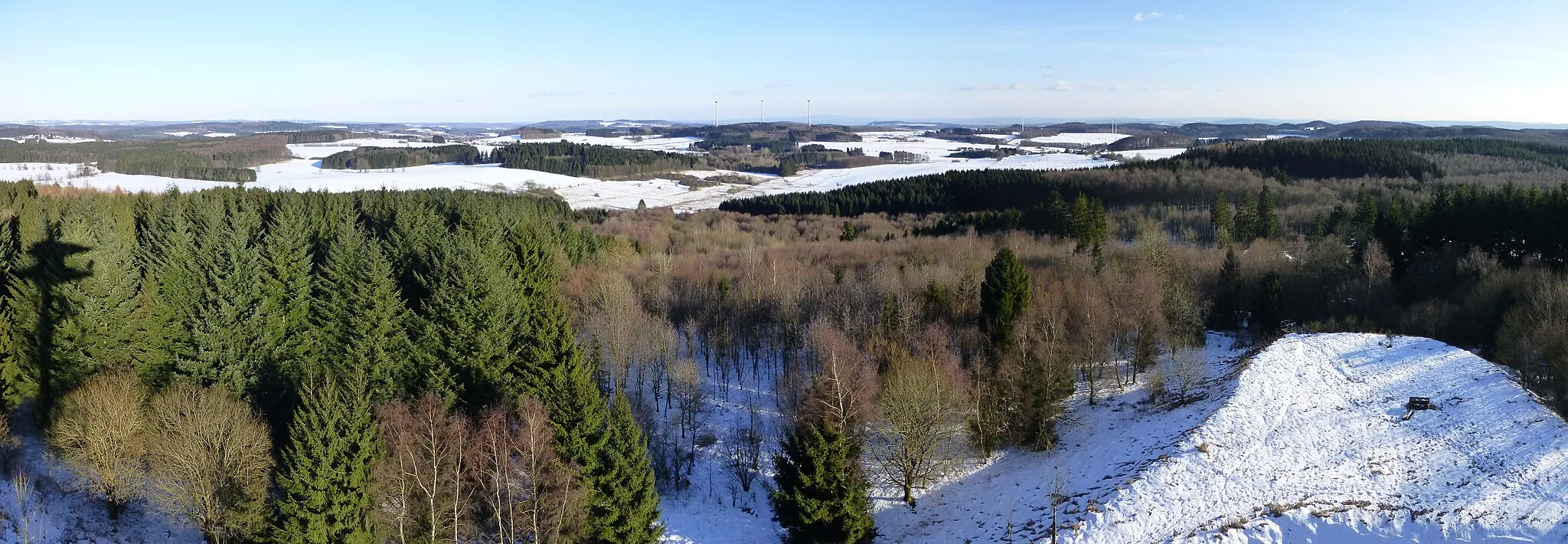 Photo showing: Panoramablick vom Aussichtsturm Helleberg nach Südosten; in der Ferne der Große Felberg im Taunus