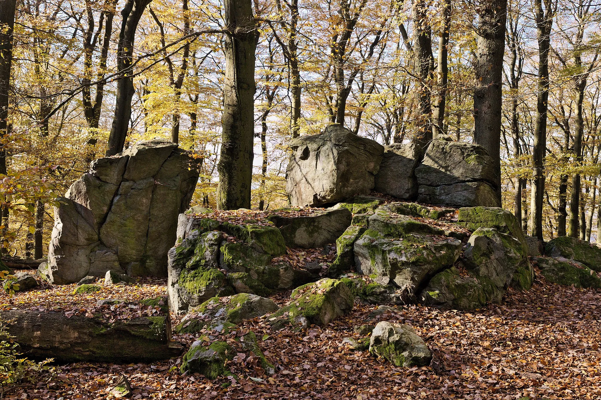 Photo showing: Malberg mountain top with rocks and beeches. Part of a nature reserve in Westerwaldkreis, Germany