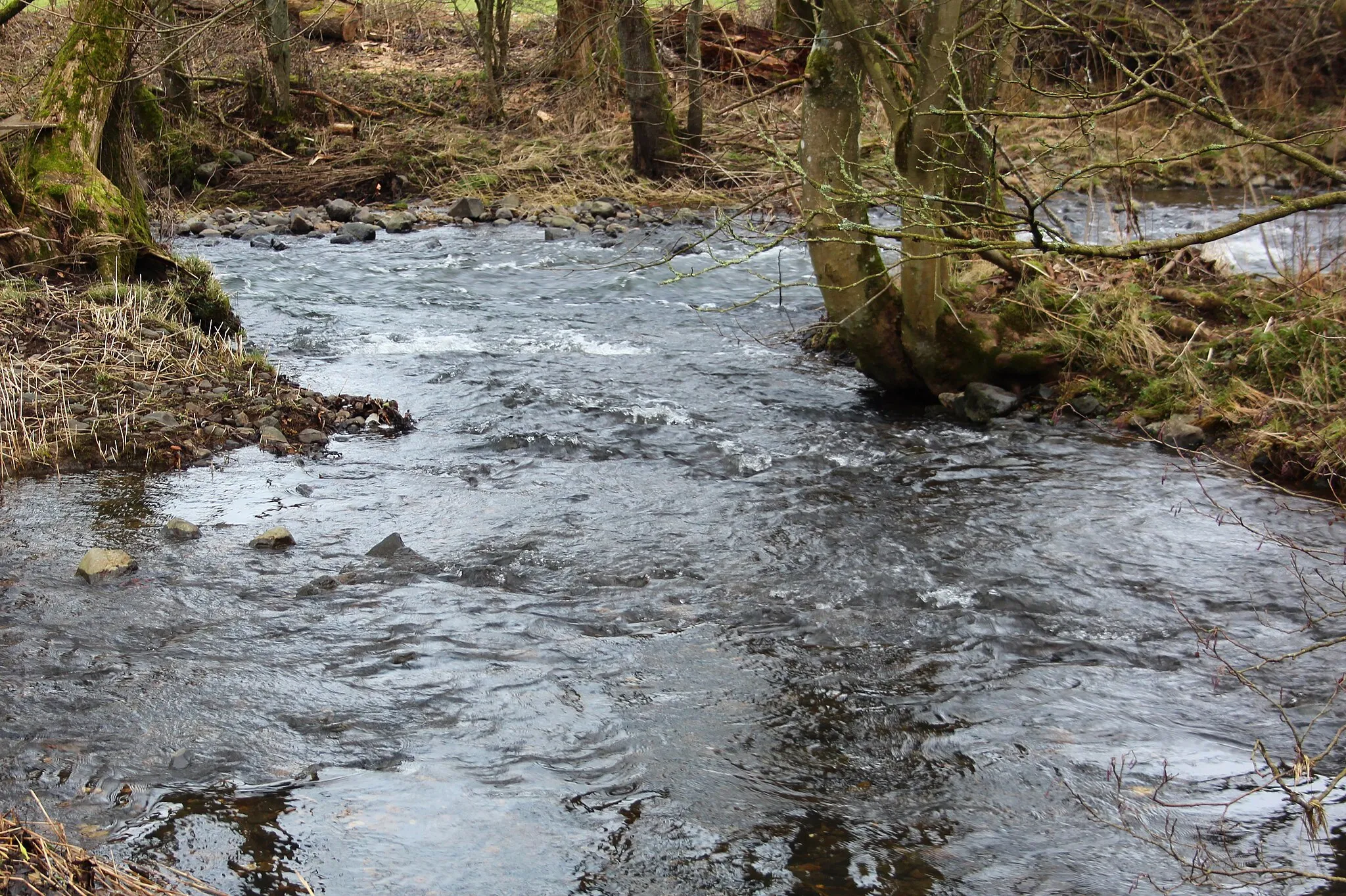 Photo showing: Zufluss des Enspeler Bach (Hornister/Hornnister) in die Nister (oben) bei Hirtscheid, Ortsteil von Alpenrod, Westerwald