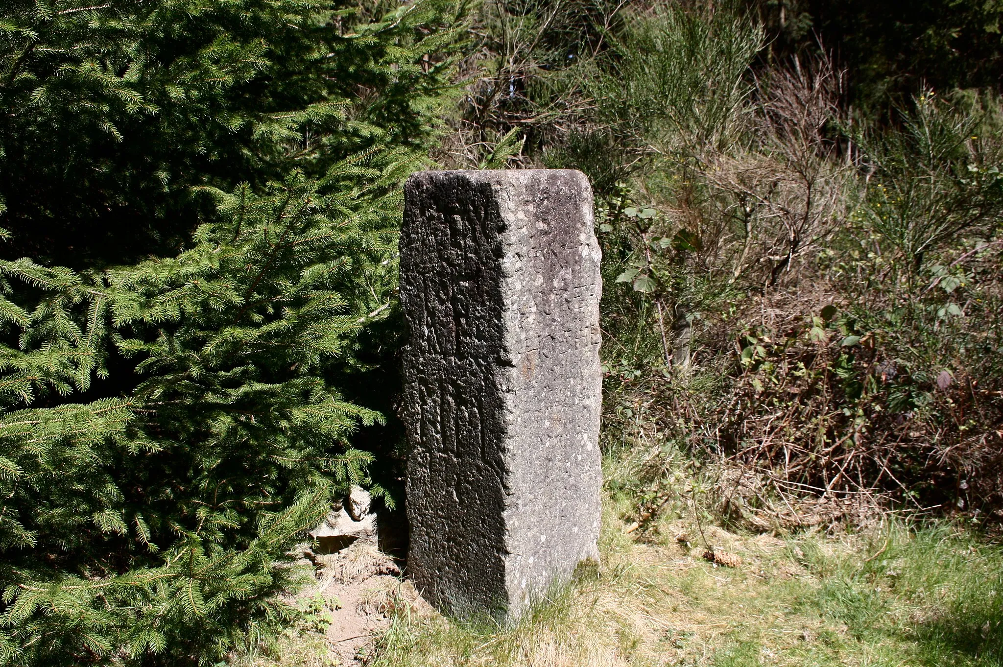 Photo showing: Trigonometrischer Punkt "Montabaurer Höhe", Montabaur, Westerwaldkreis, Rheinland-Pfalz, Deutschland
