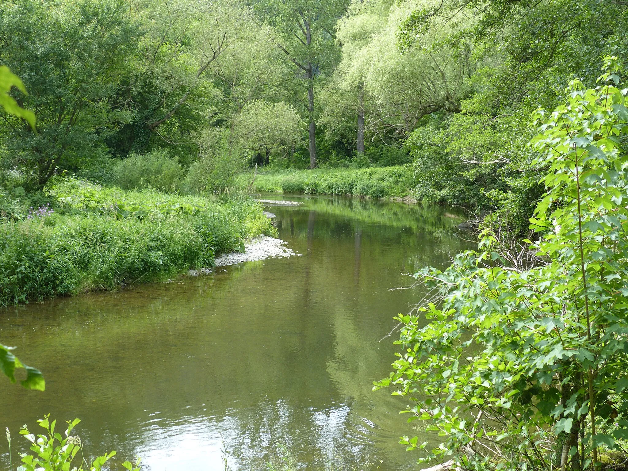 Photo showing: Ahrtal- Langfigtal bei Altenahr