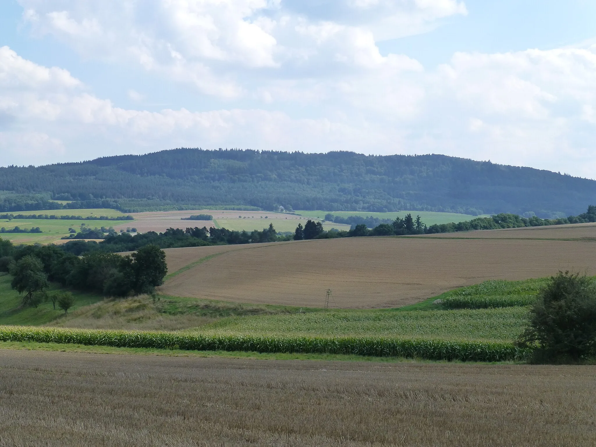 Photo showing: Die Koppensteiner Höhe; Blick von Nordwesten; mittig links der Bergfried der Burg Koppenstein