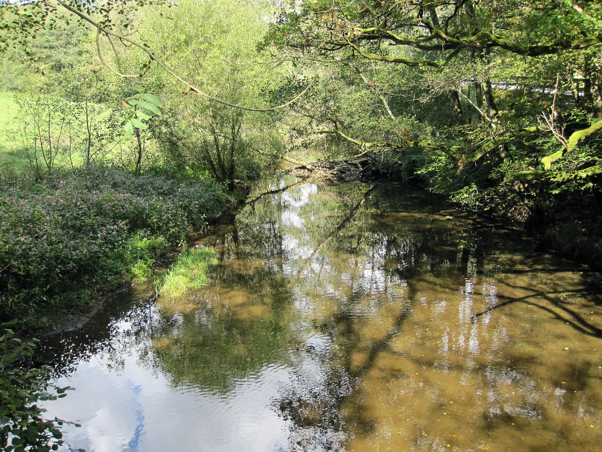 Photo showing: Nette an der Hammesmühle