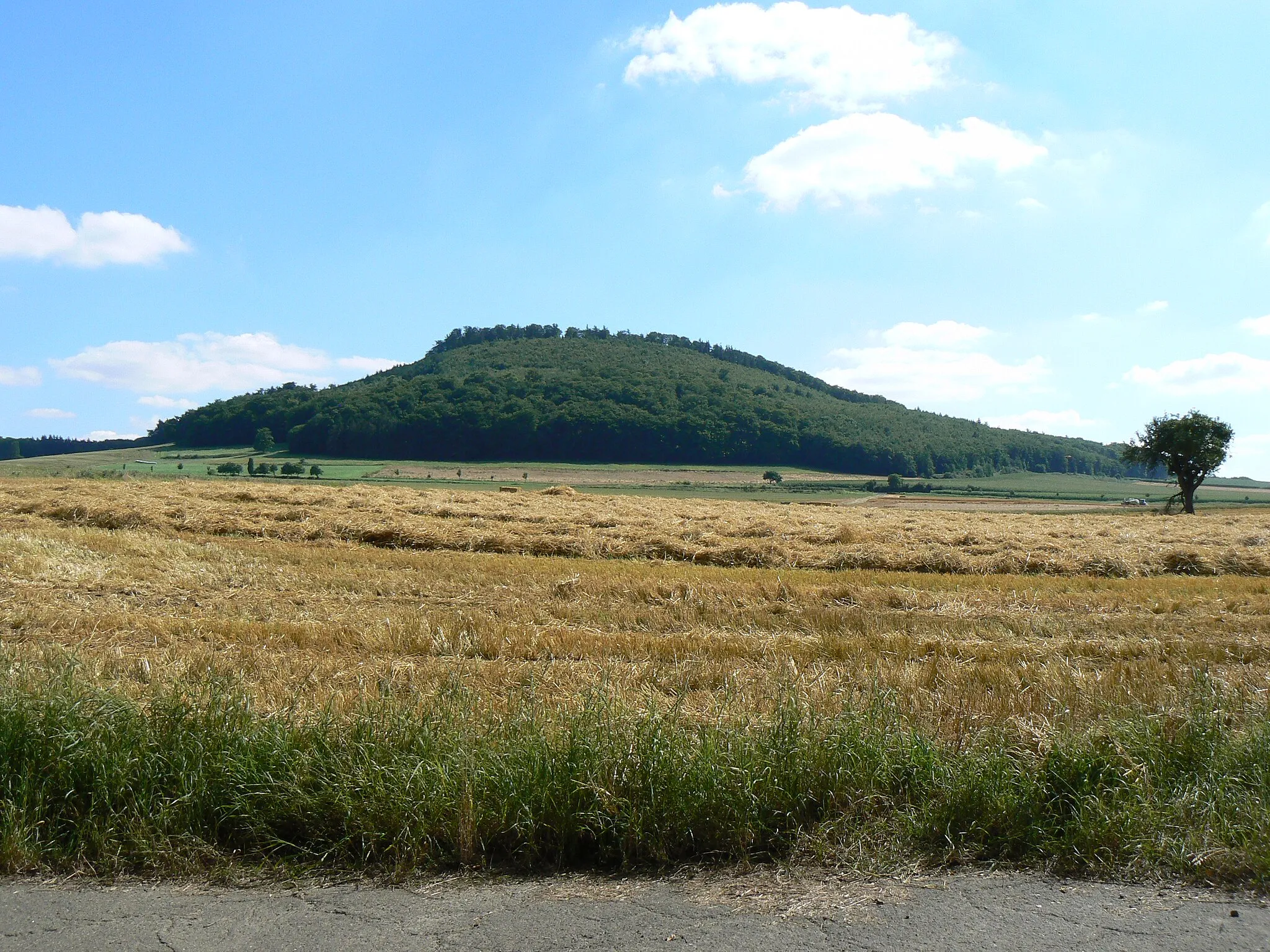 Photo showing: Der Veitskopf nahe Wassenach in der Eifel