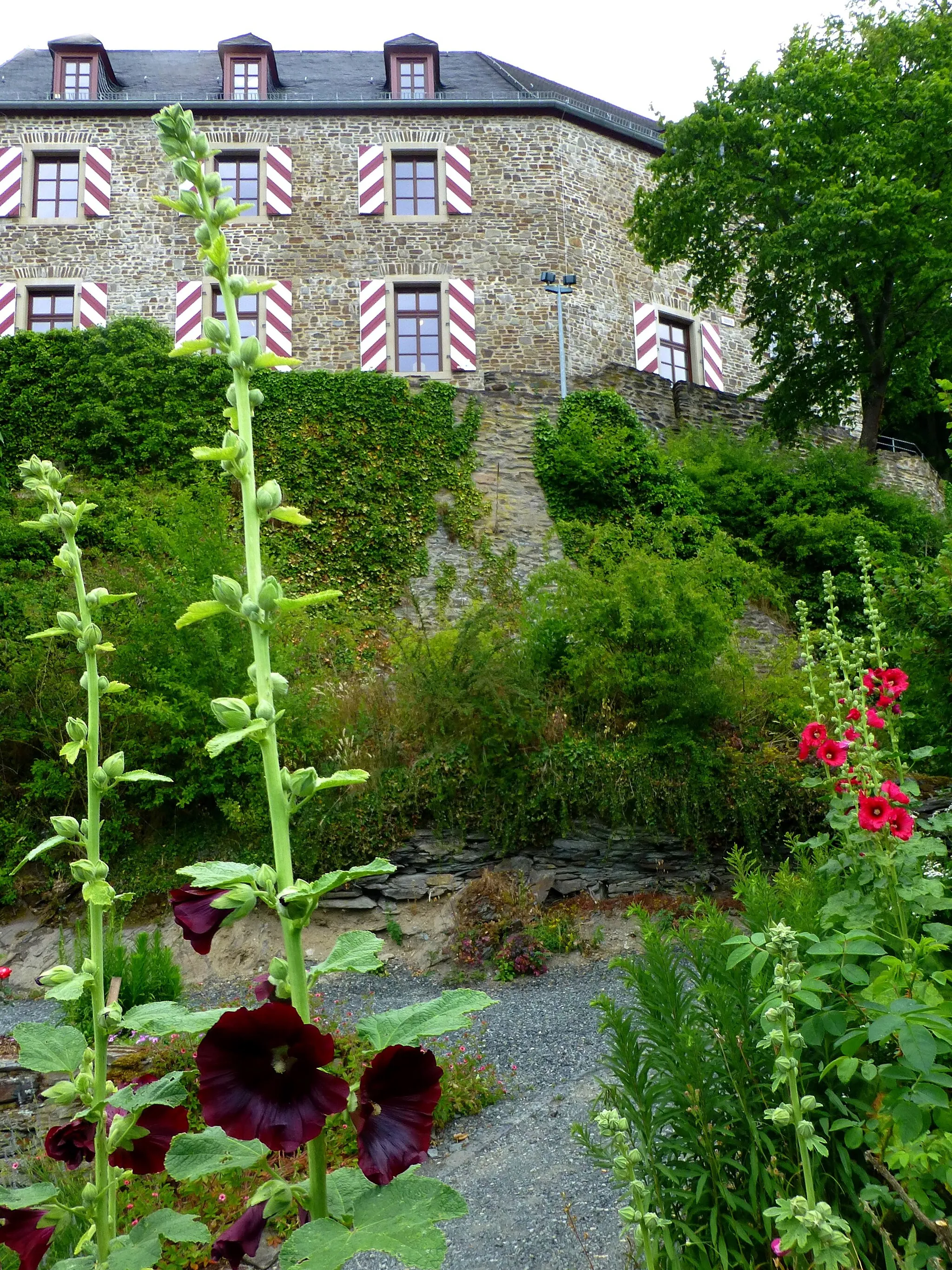 Photo showing: Kastellaun - Burg Kastellaun