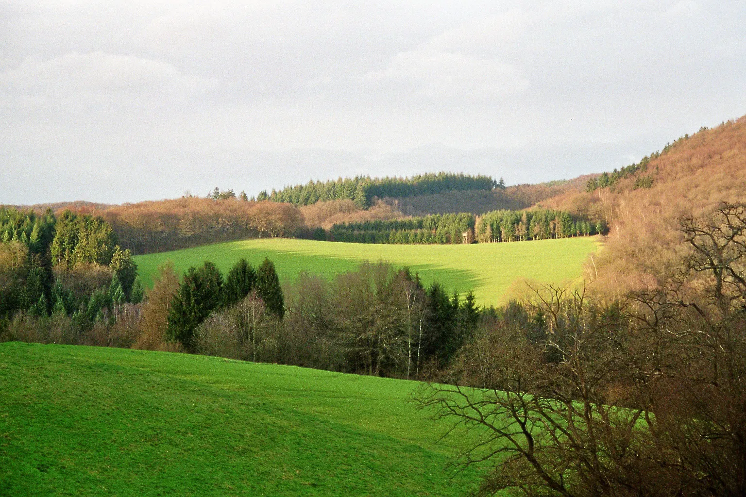 Photo showing: Near Schimmelshahn in Roßbach in Rhineland-Palatinate in the Westerwald.