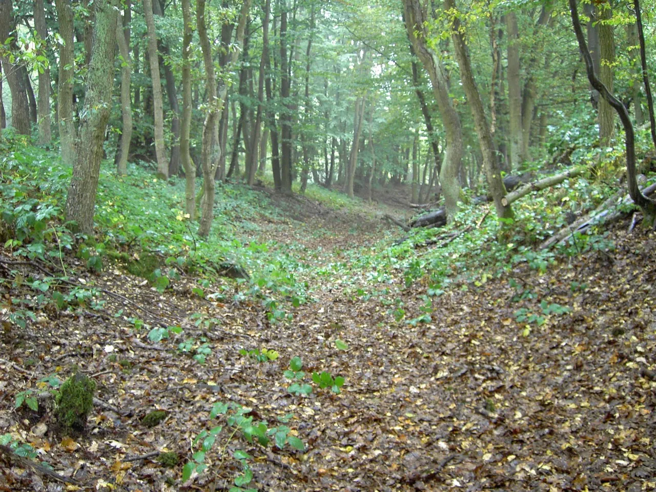 Photo showing: Das Bild zeigt Wall und Graben vom nördlichen Eingang aus gesehen in Richtung Osten Goloring