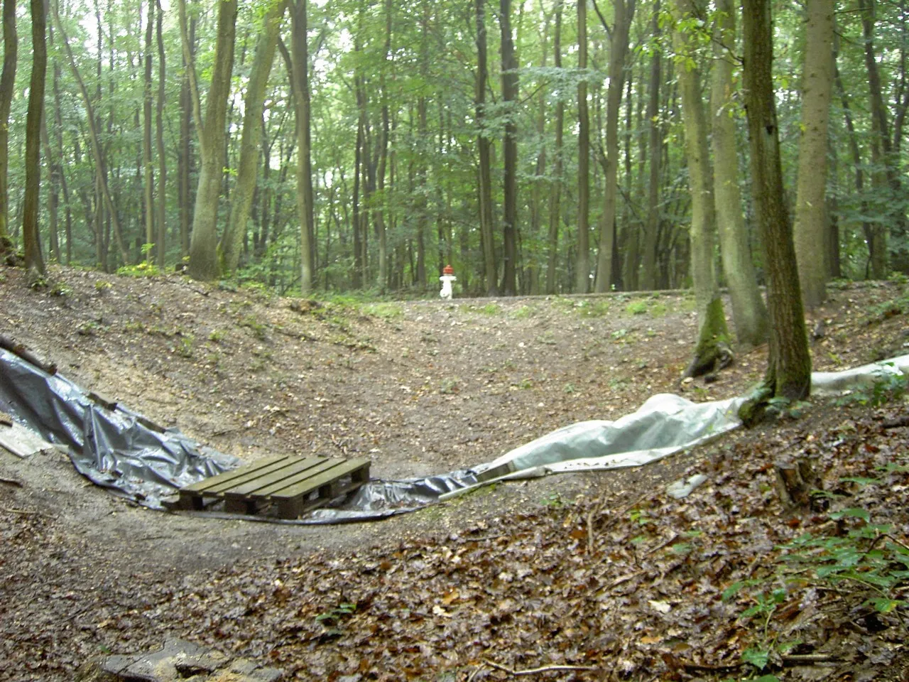 Photo showing: Erdbrücke beim südlichen Eingang, im Vordergrund aktueller Grabungsschnitt (9/2004) Goloring