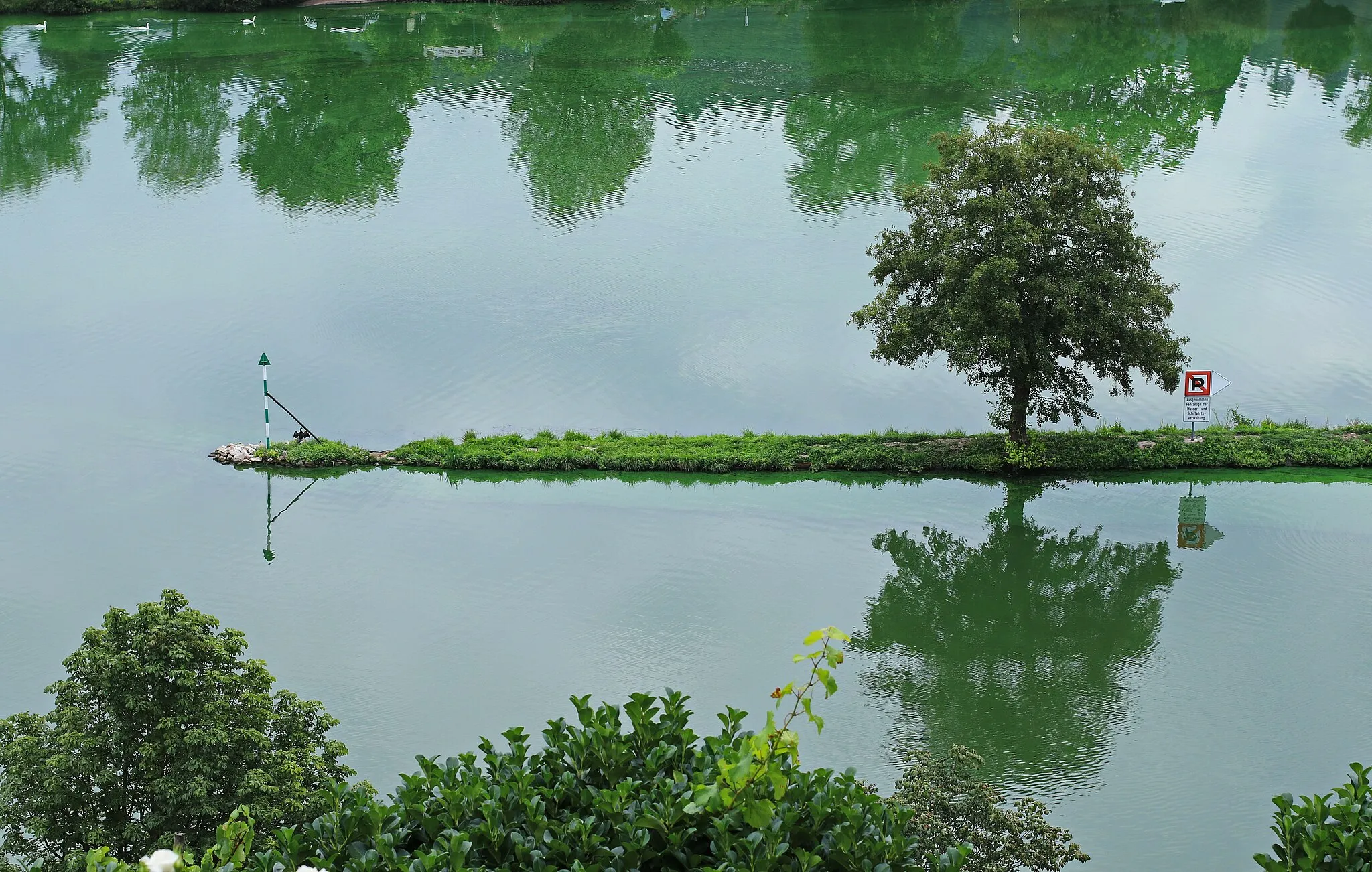 Photo showing: Moselgebiet bei Alf (Mosel) in Rhreinland-Pfalz