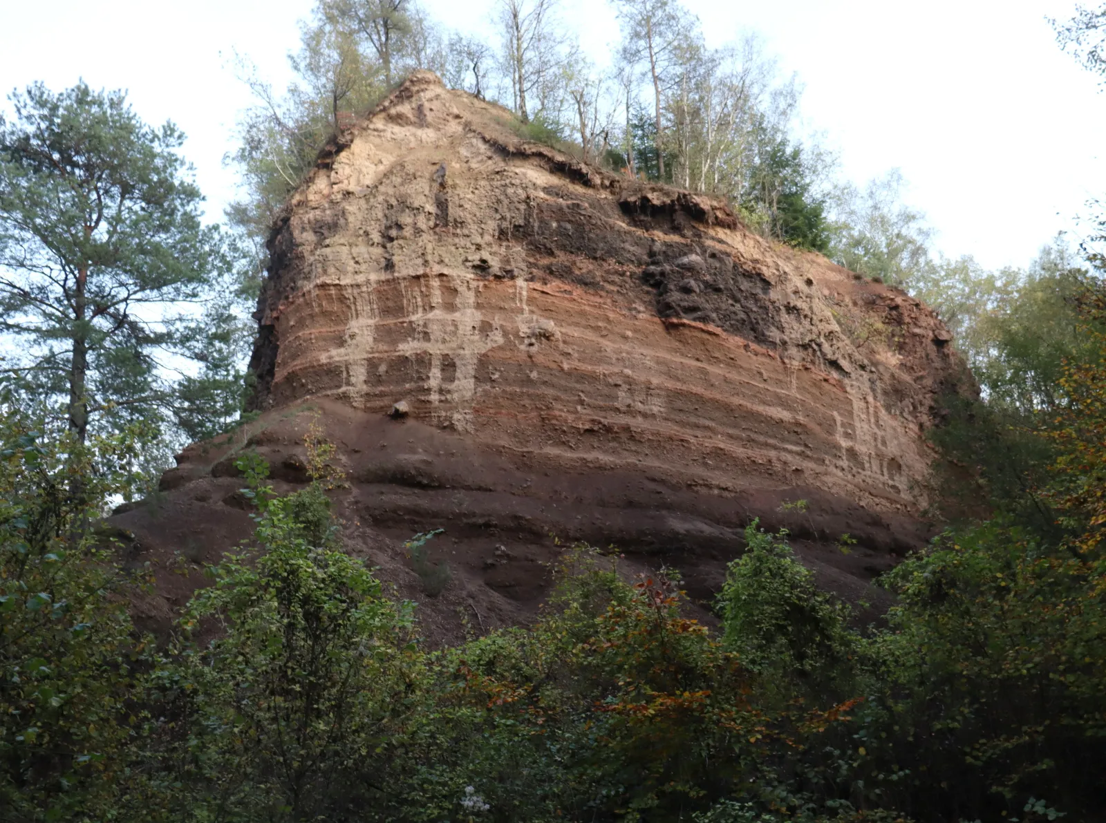 Photo showing: Schlackenkegel Vulkan Nastberg Grube Süd B1. Noch erhaltener Abschnitt mit Schlackenwall und Tuffring (von oben nach unten).