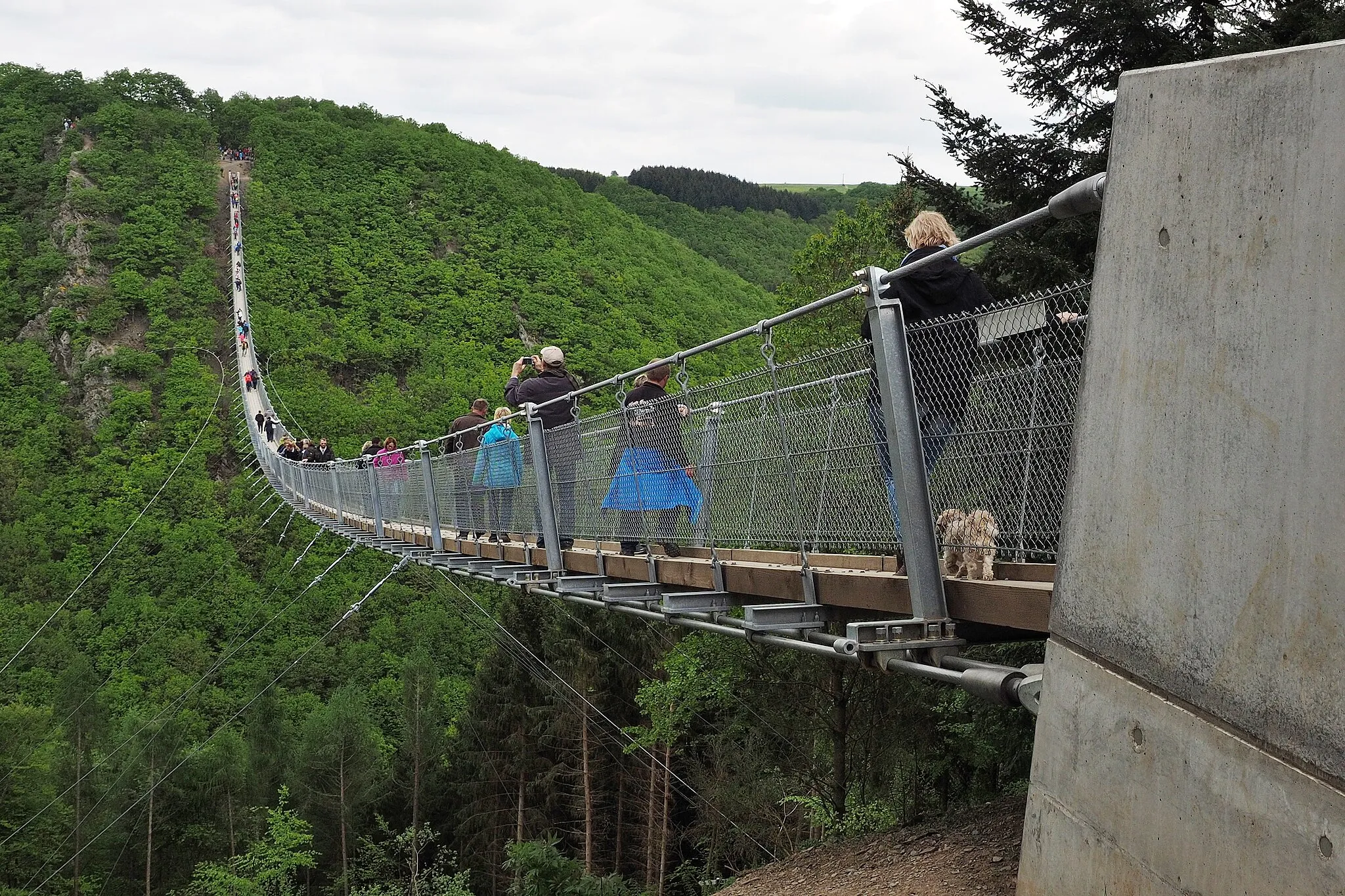 Photo showing: Geierlay suspension bridge, Mörsdorf, Germany