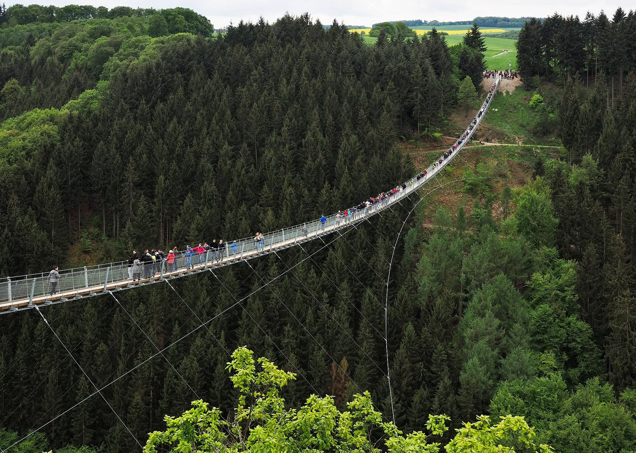 Photo showing: Geierlay, Germany’s widest-spanning suspension bridge, as seen from the north-east